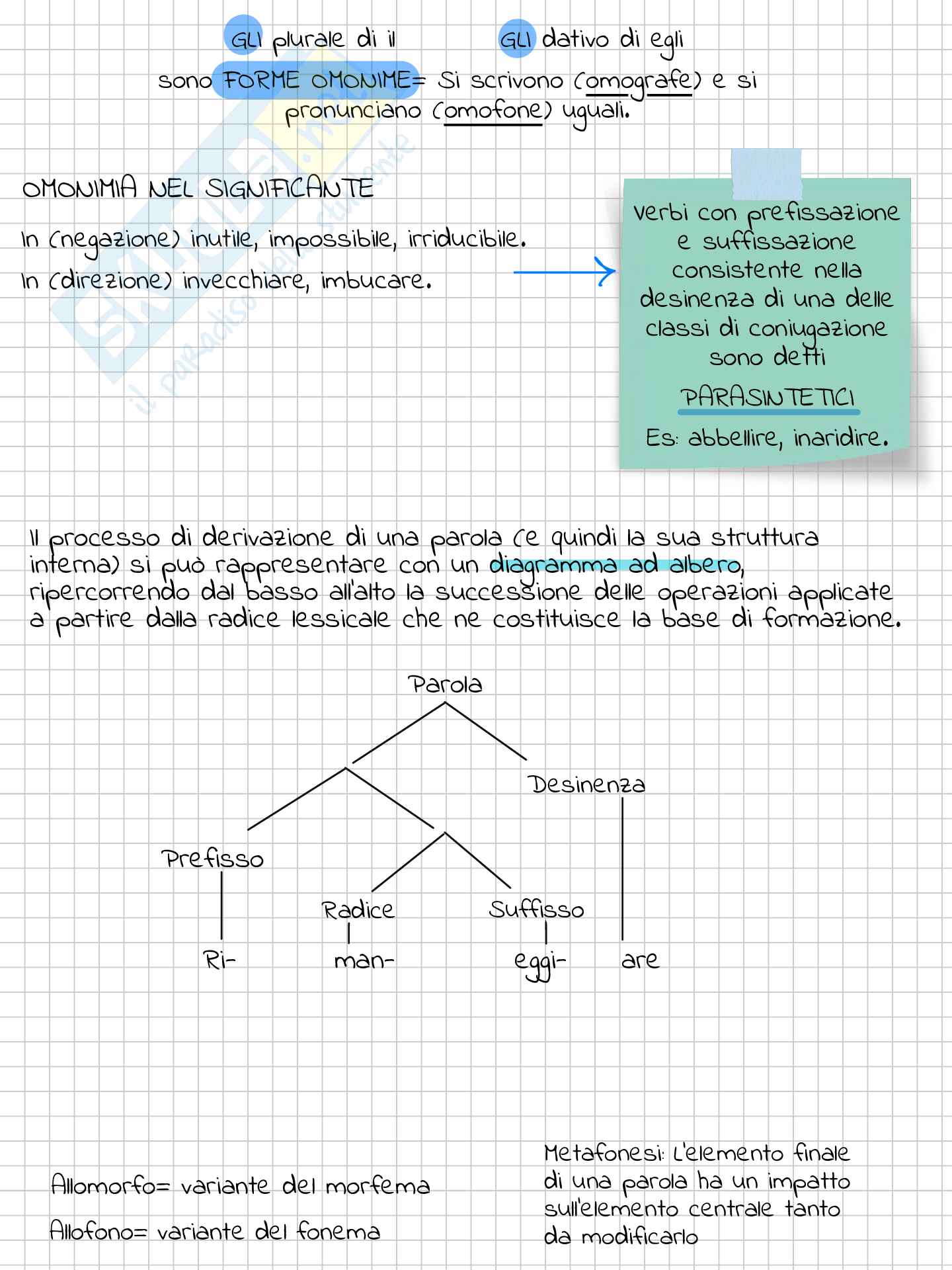 Riassunto esame Linguistica generale, Prof. Pozza Marianna, libro consigliato La linguistica , Berruto, Cerruti Pag. 41