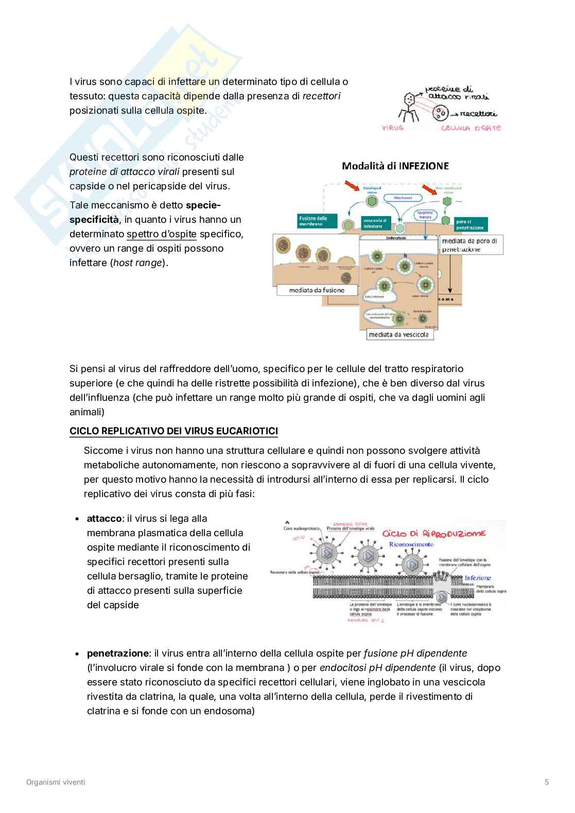 Biologia cellulare, molecolare e genetica Pag. 16