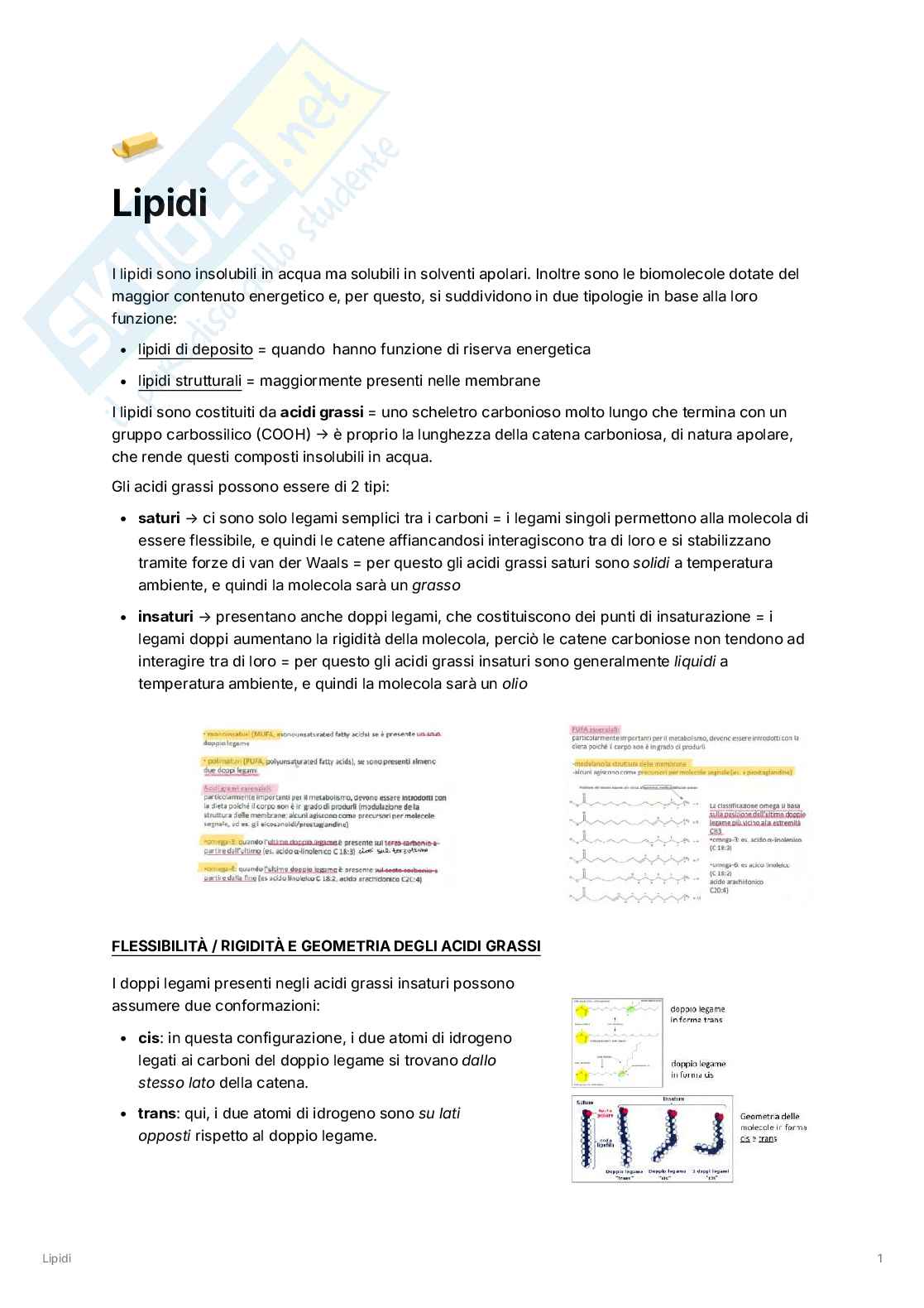 Biologia cellulare, molecolare e genetica Pag. 26