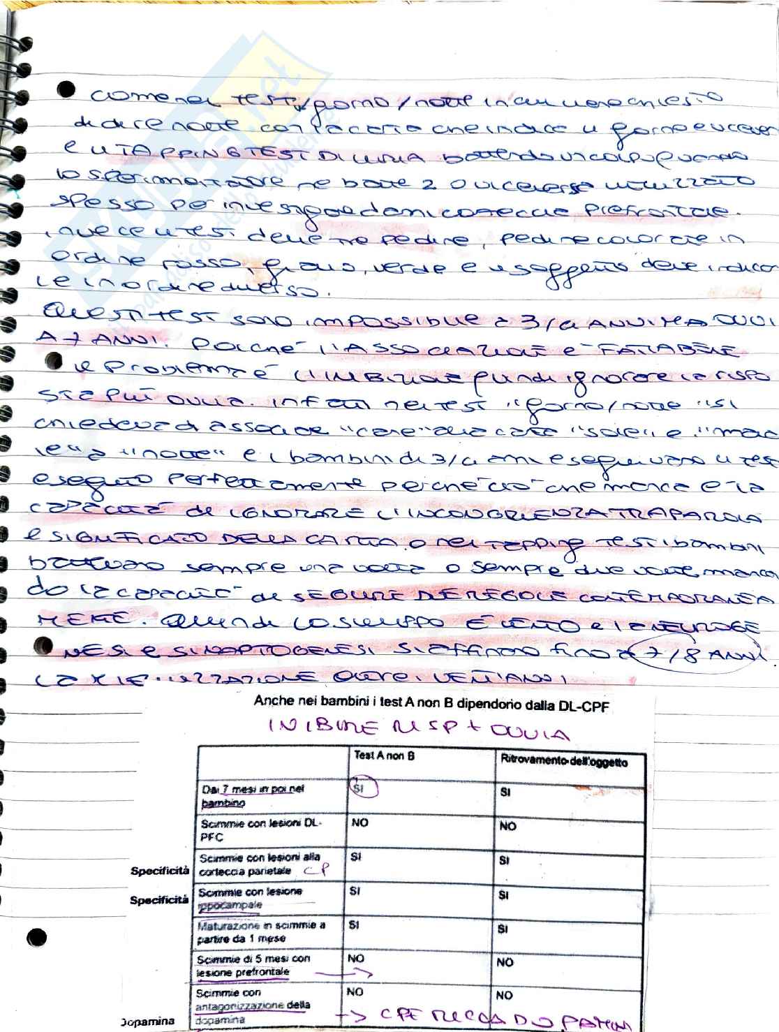 Elementi di psicobiologia: test neuropsicologici e fasi dello sviluppo Pag. 2