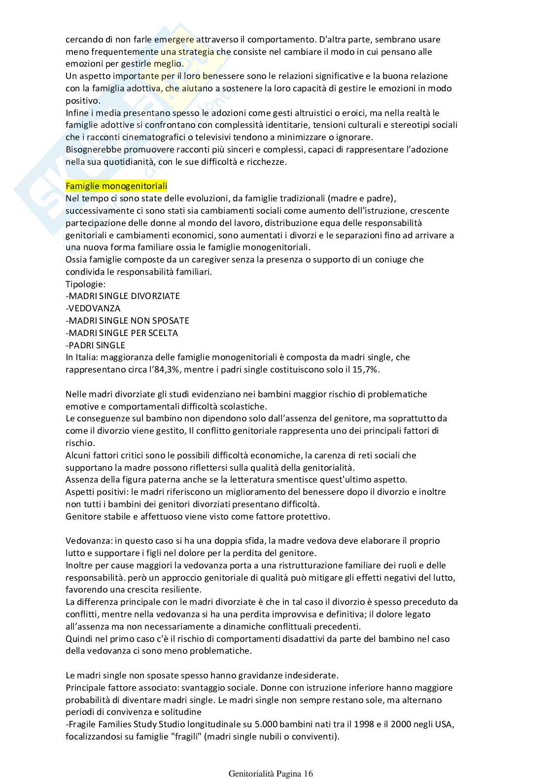 Ripasso per esame Psicodinamica delle relazioni familiari Pag. 16