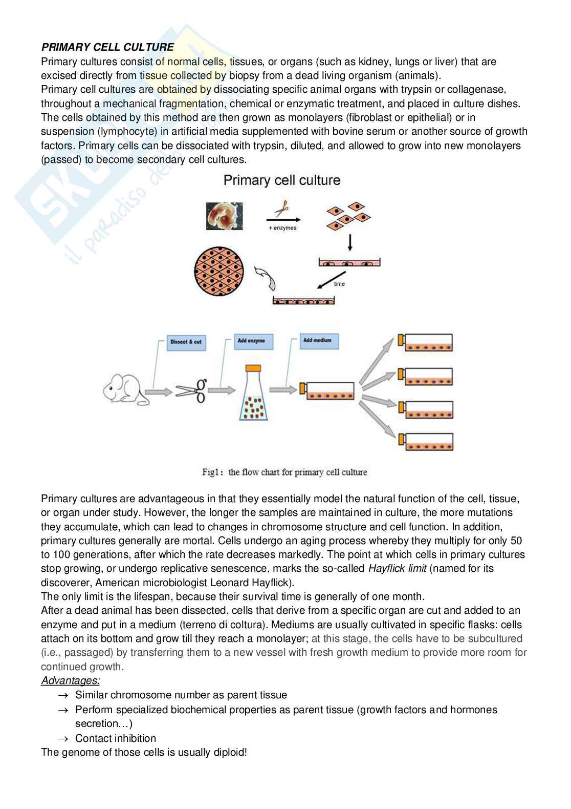 Immunology and Virology - prima parte Pag. 11