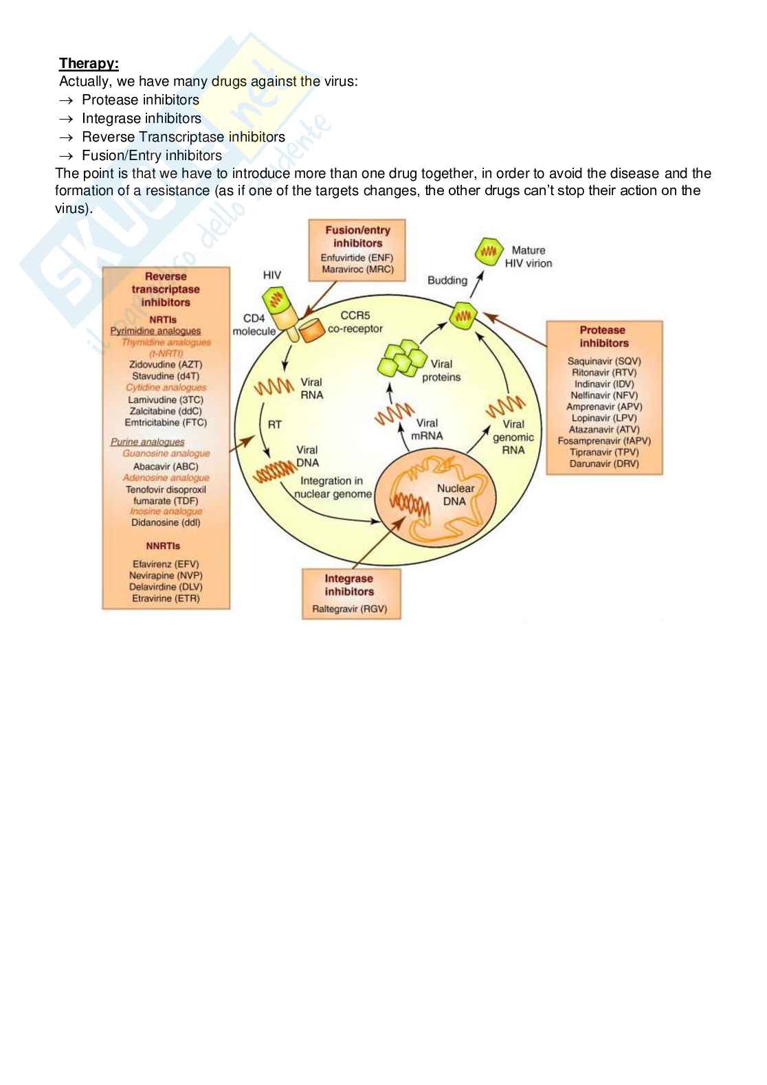 Immunology and Virology - prima parte Pag. 66