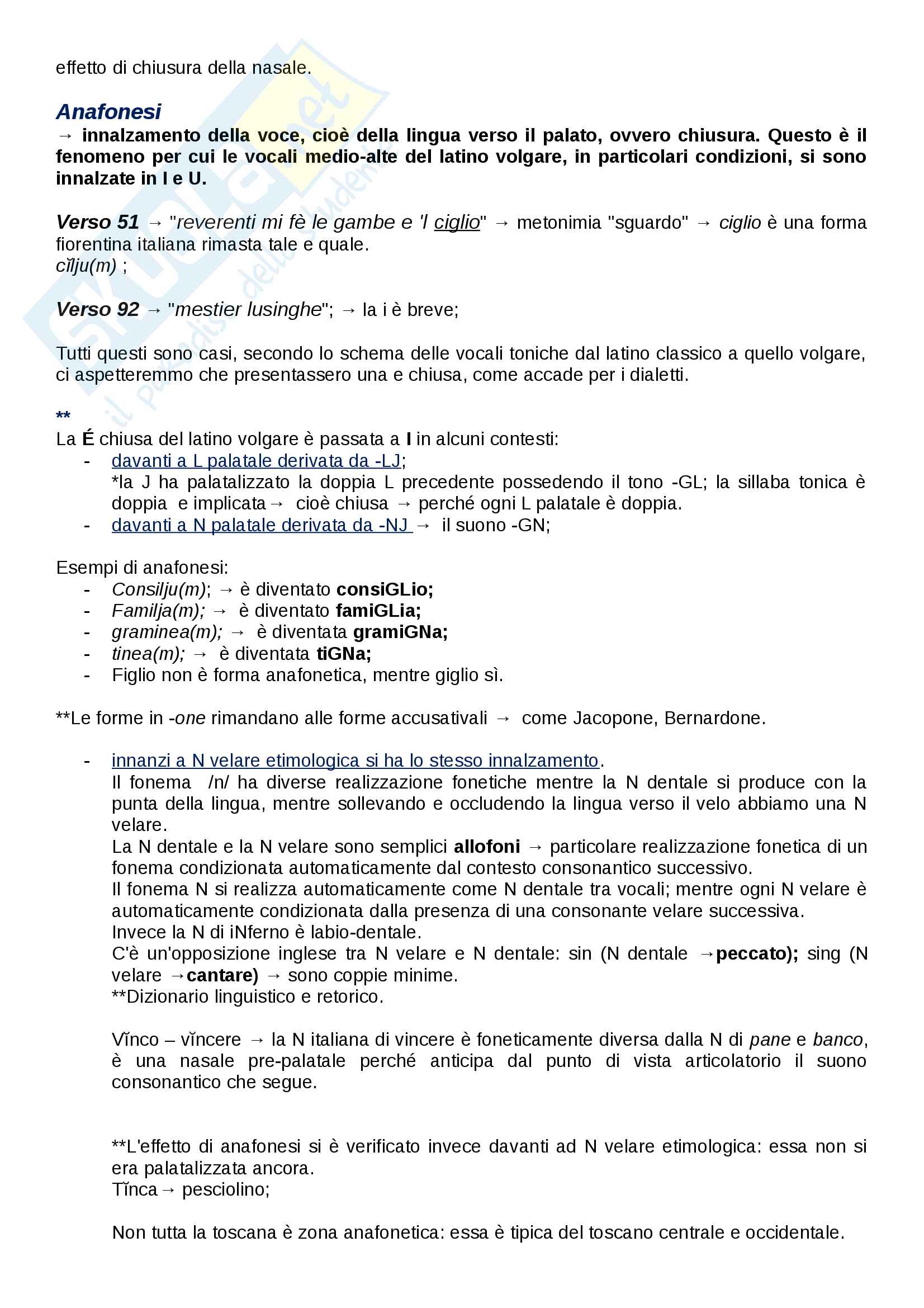 Appunti di Storia della lingua italiana (lezioni complete) Pag. 21
