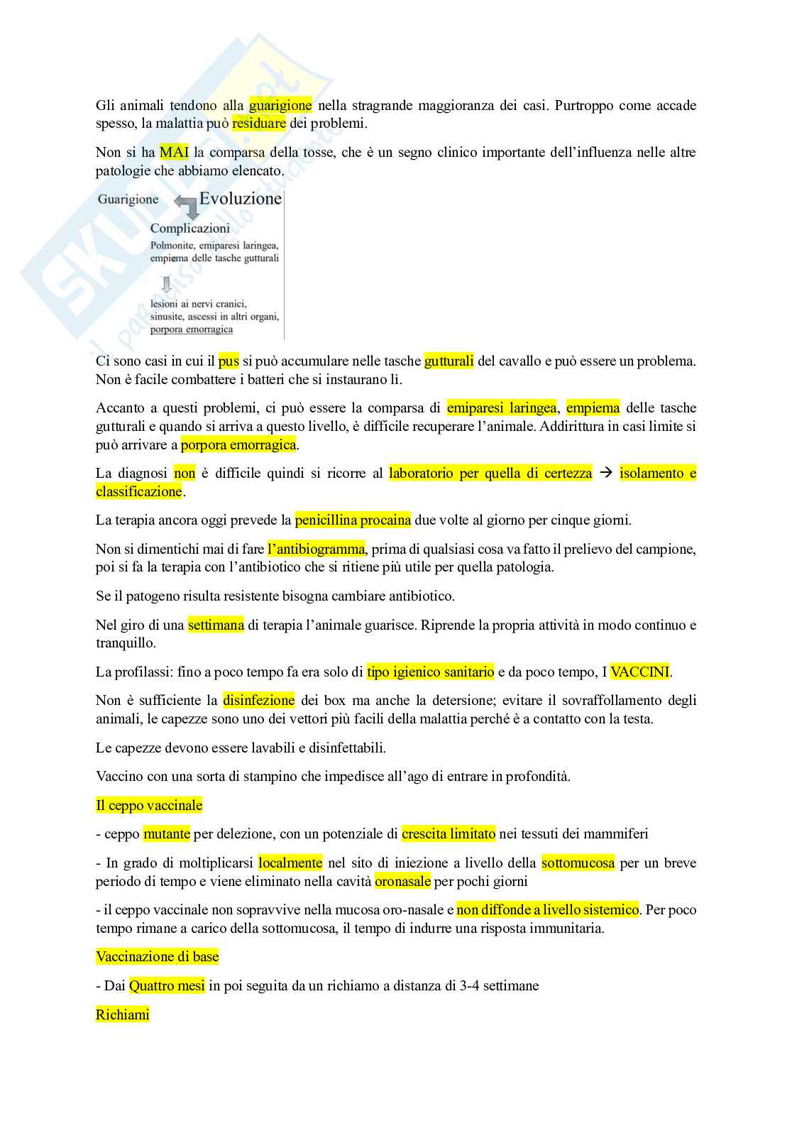 Appunti per esame di Malattie infettive II Pag. 26