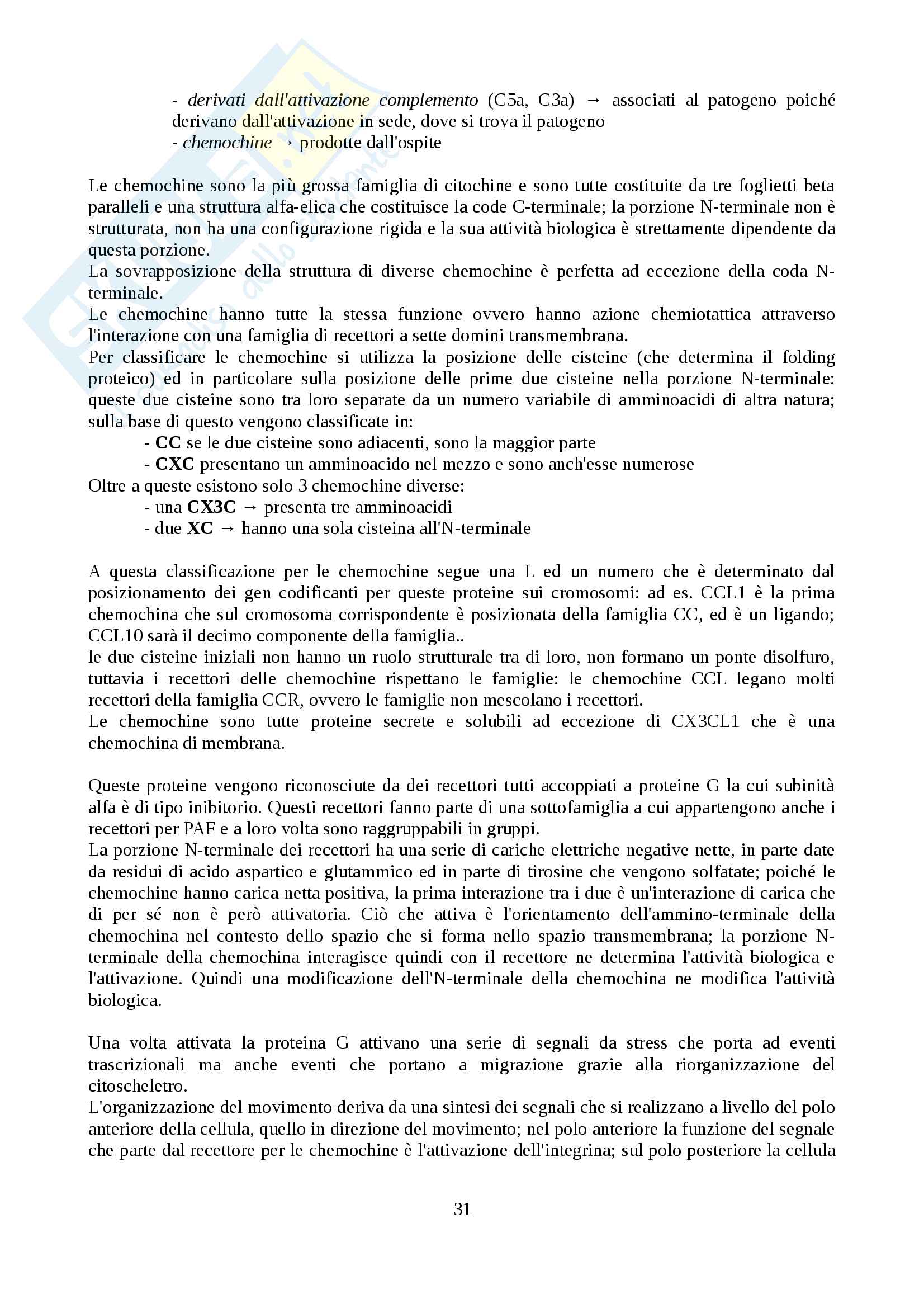 Immunologia Pag. 31