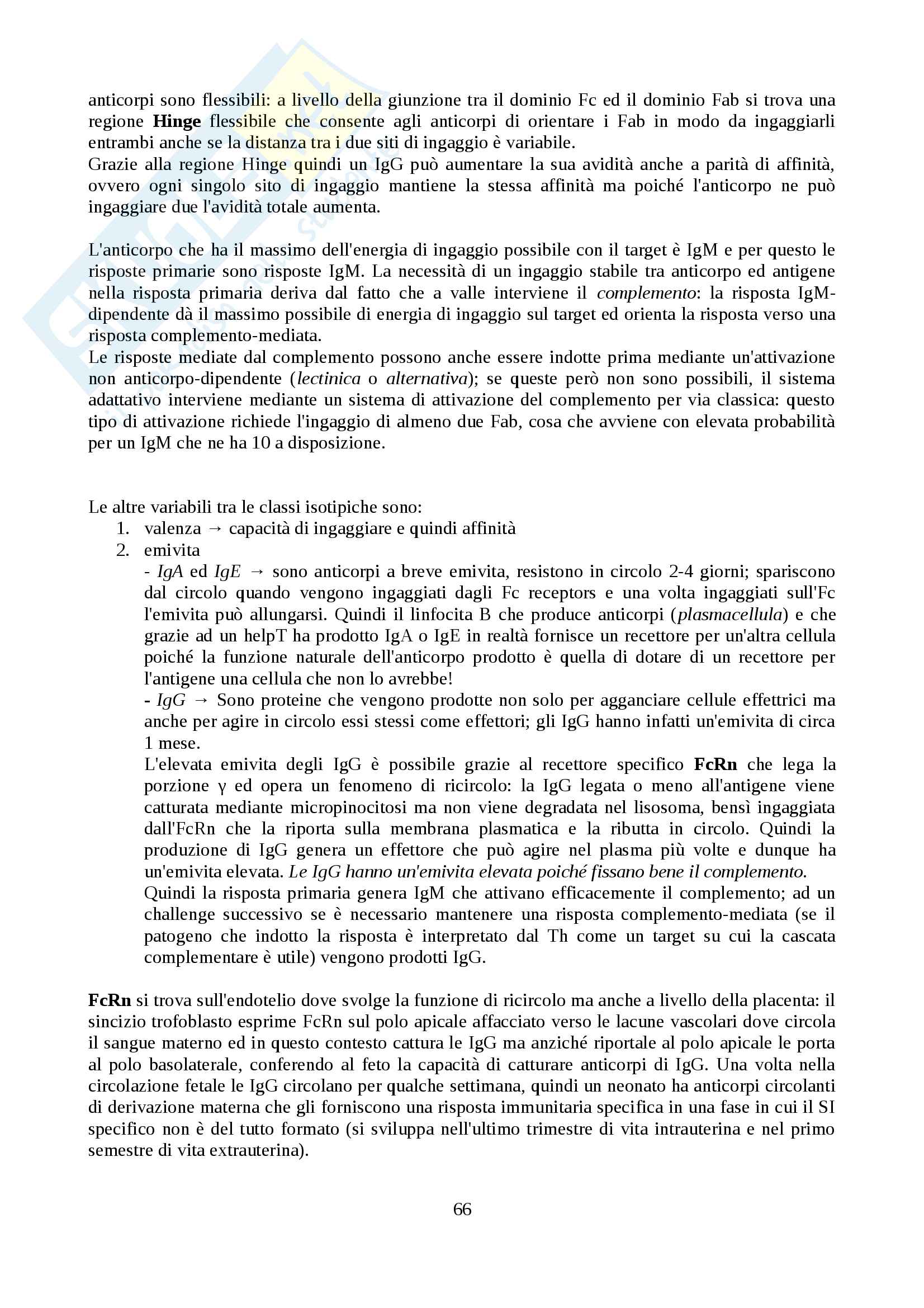 Immunologia Pag. 66