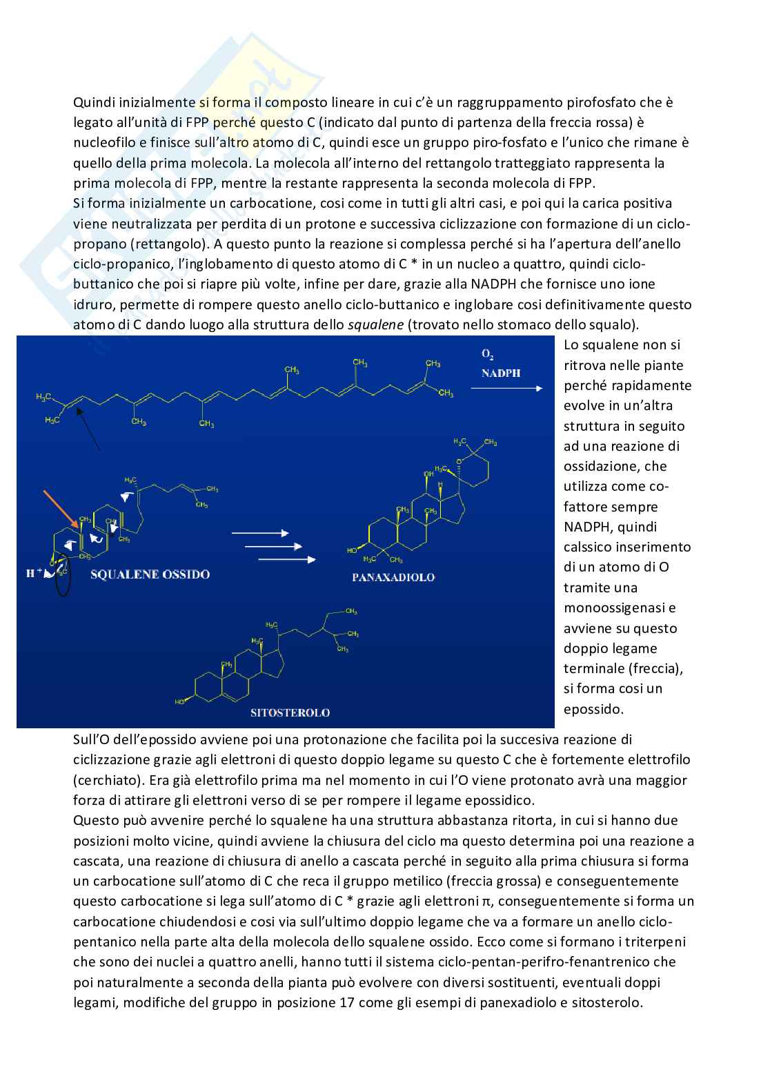 Chimica farmaceutica 1 e fitochimica - Terza parte Pag. 16