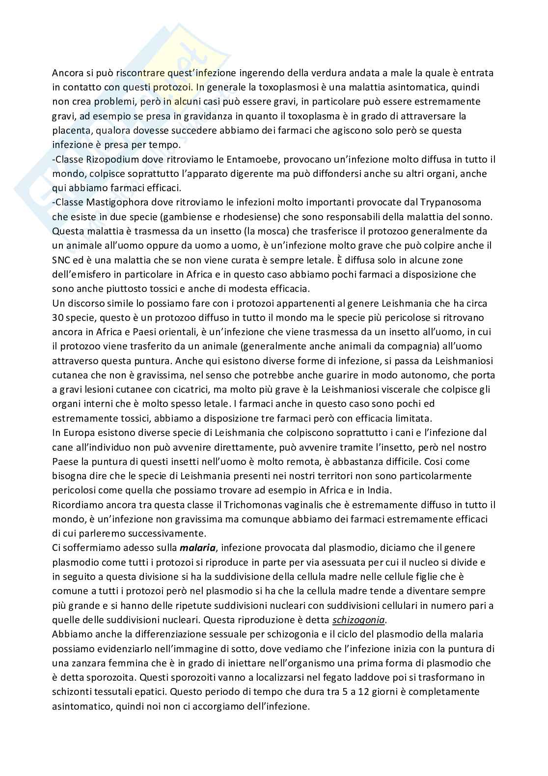 Chimica farmaceutica 1 e fitochimica - Terza parte Pag. 2