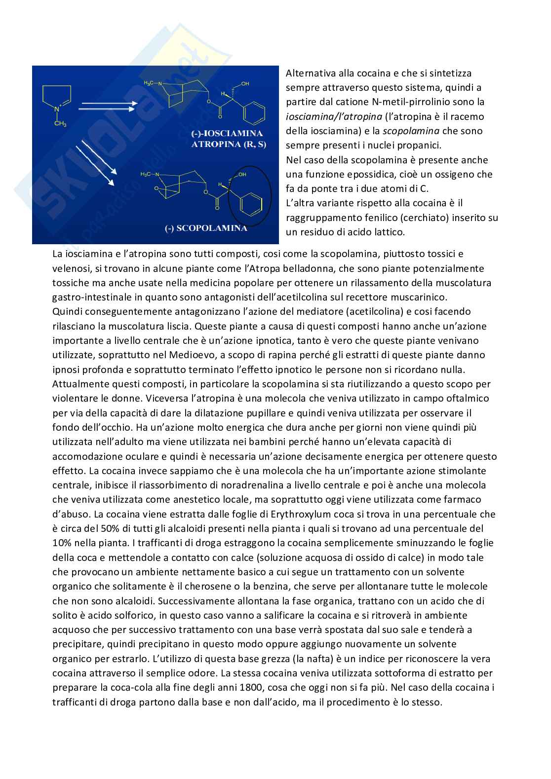 Chimica farmaceutica 1 e fitochimica - Terza parte Pag. 21