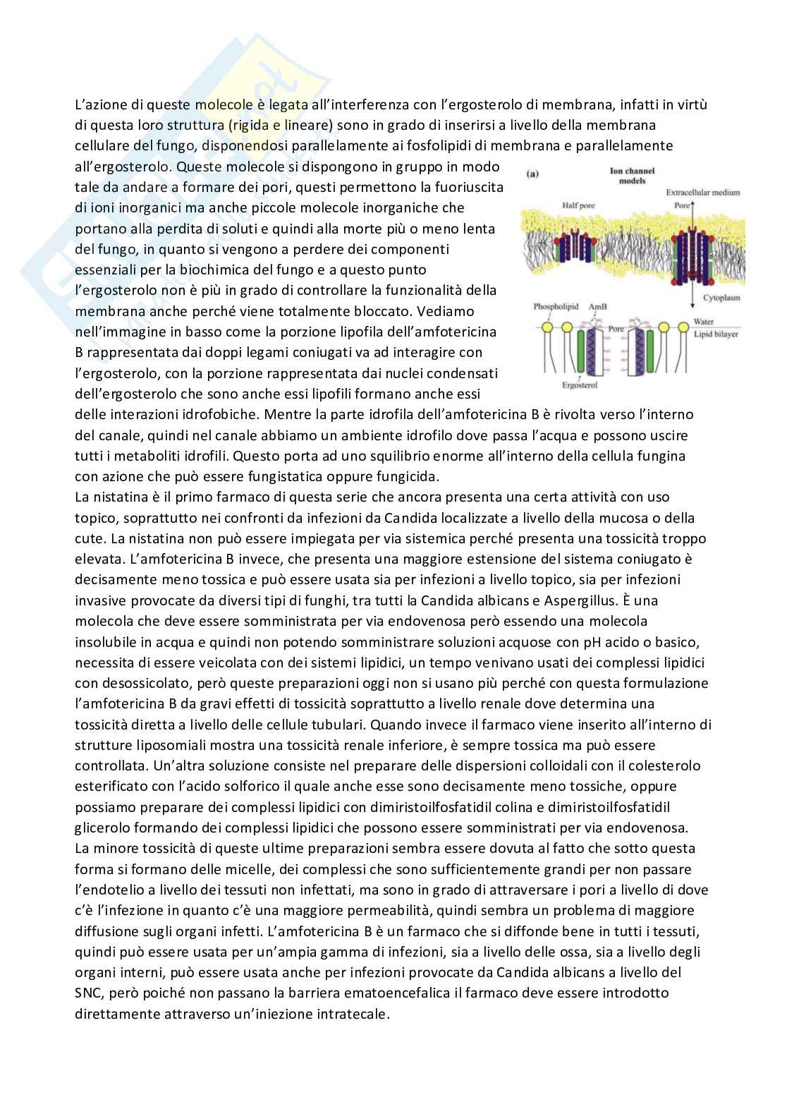 Chimica farmaceutica 1 e fitochimica - Terza parte Pag. 36