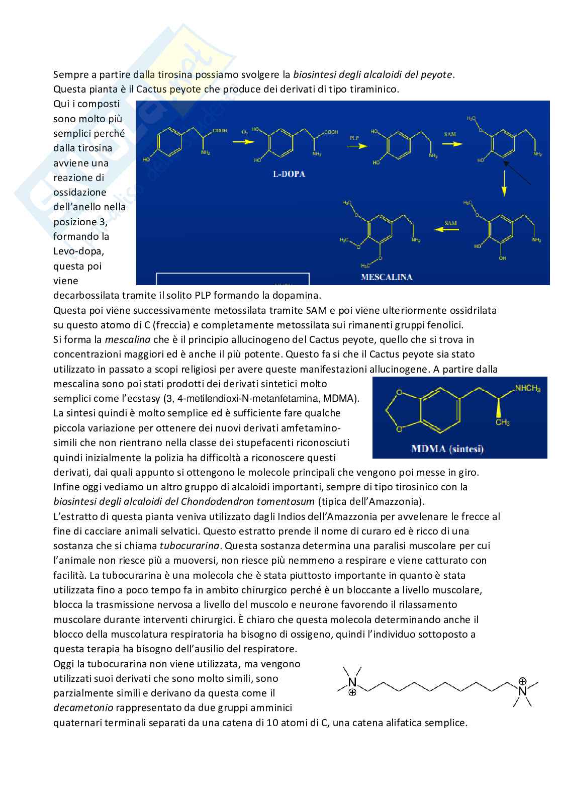 Chimica farmaceutica 1 e fitochimica - Terza parte Pag. 61