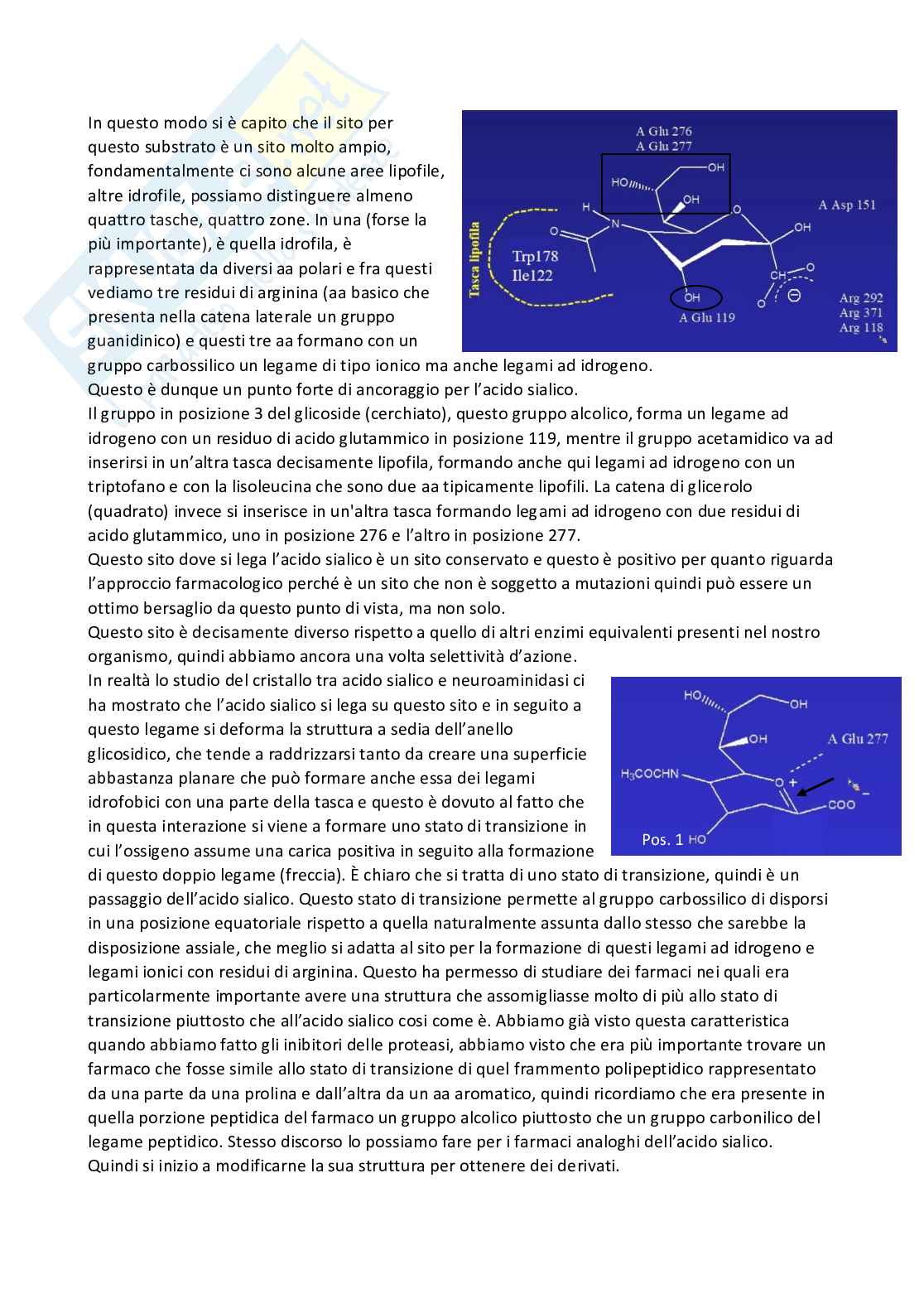 Chimica farmaceutica 1 e fitochimica - Terza parte Pag. 66