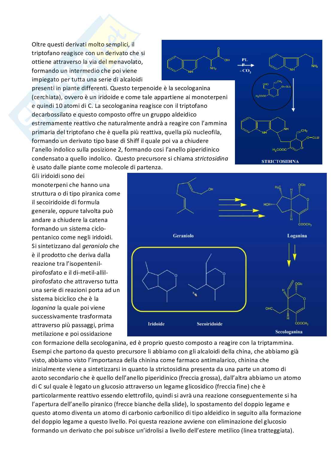 Chimica farmaceutica 1 e fitochimica - Terza parte Pag. 91
