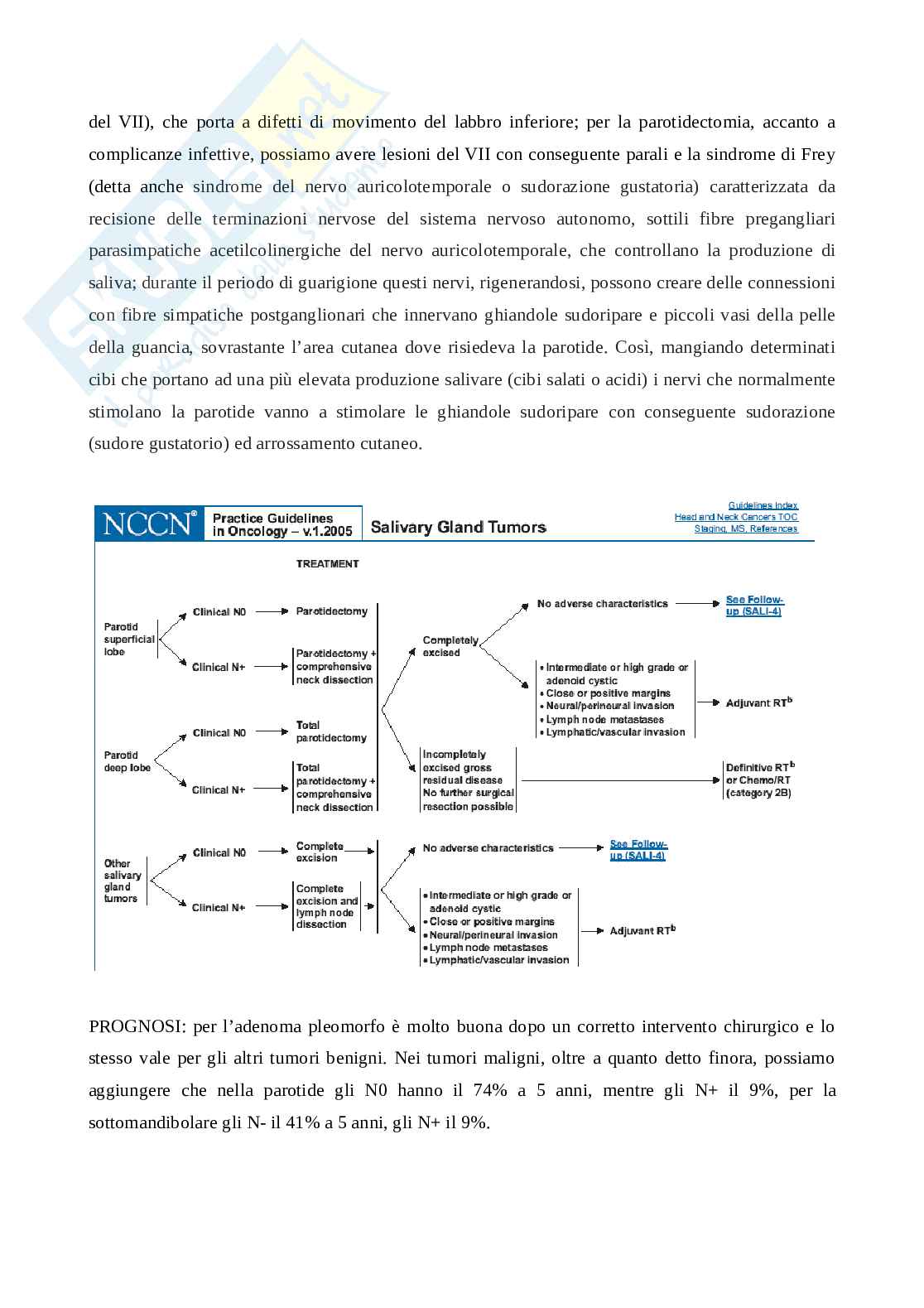 Neoplasie delle ghiandole salivari Pag. 6