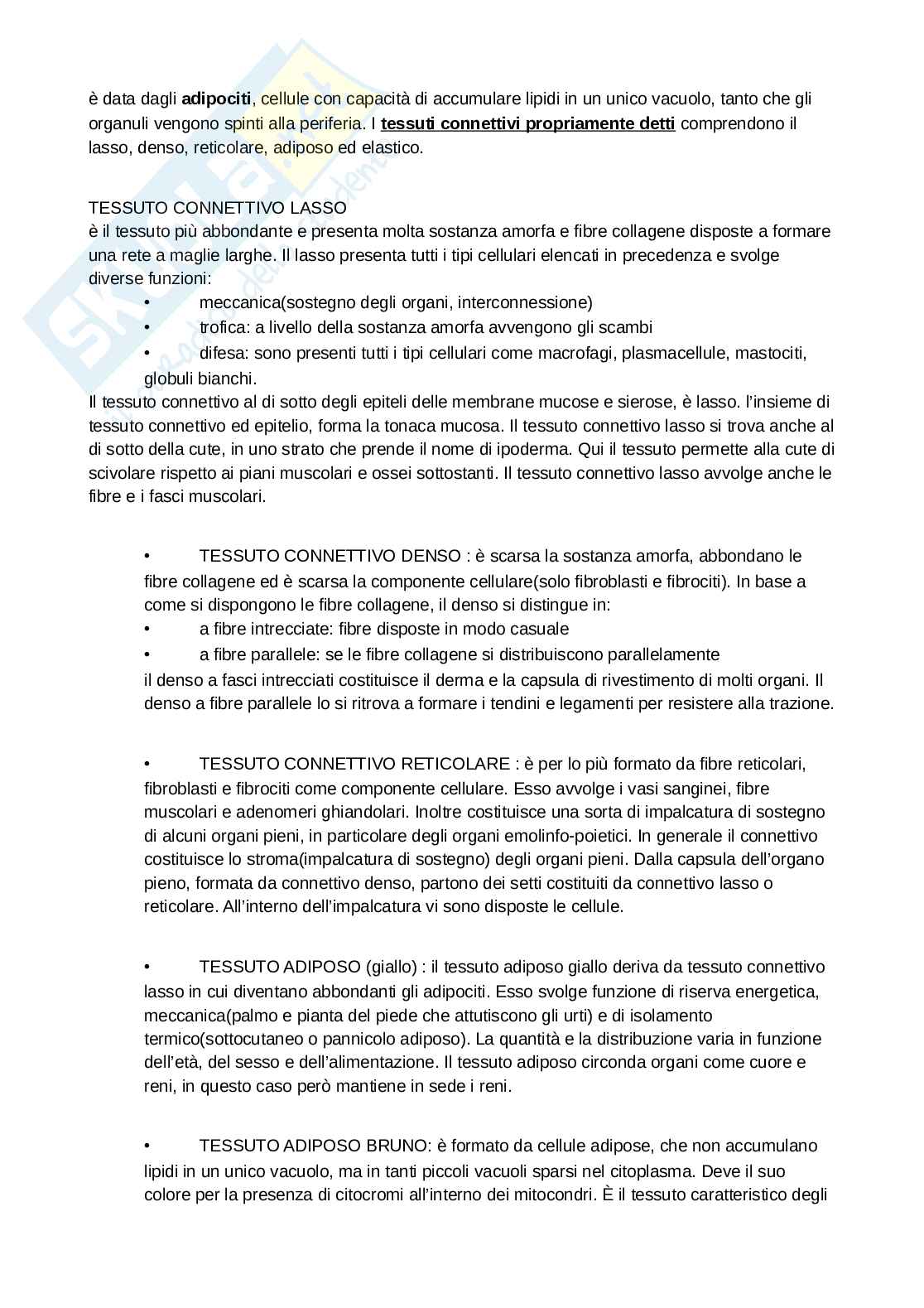 Anatomia umana - Fondamenti Pag. 11