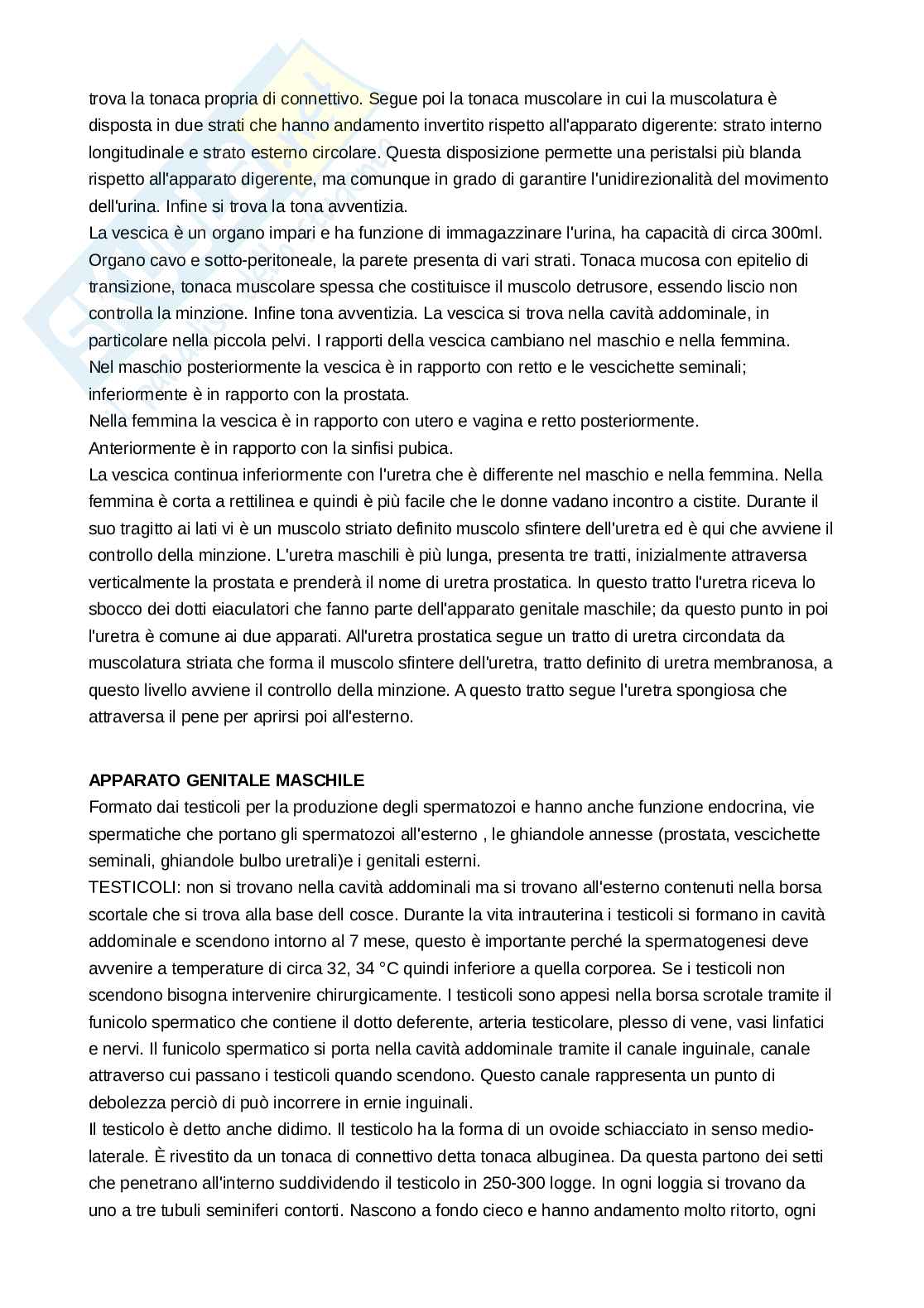 Anatomia umana - Fondamenti Pag. 61