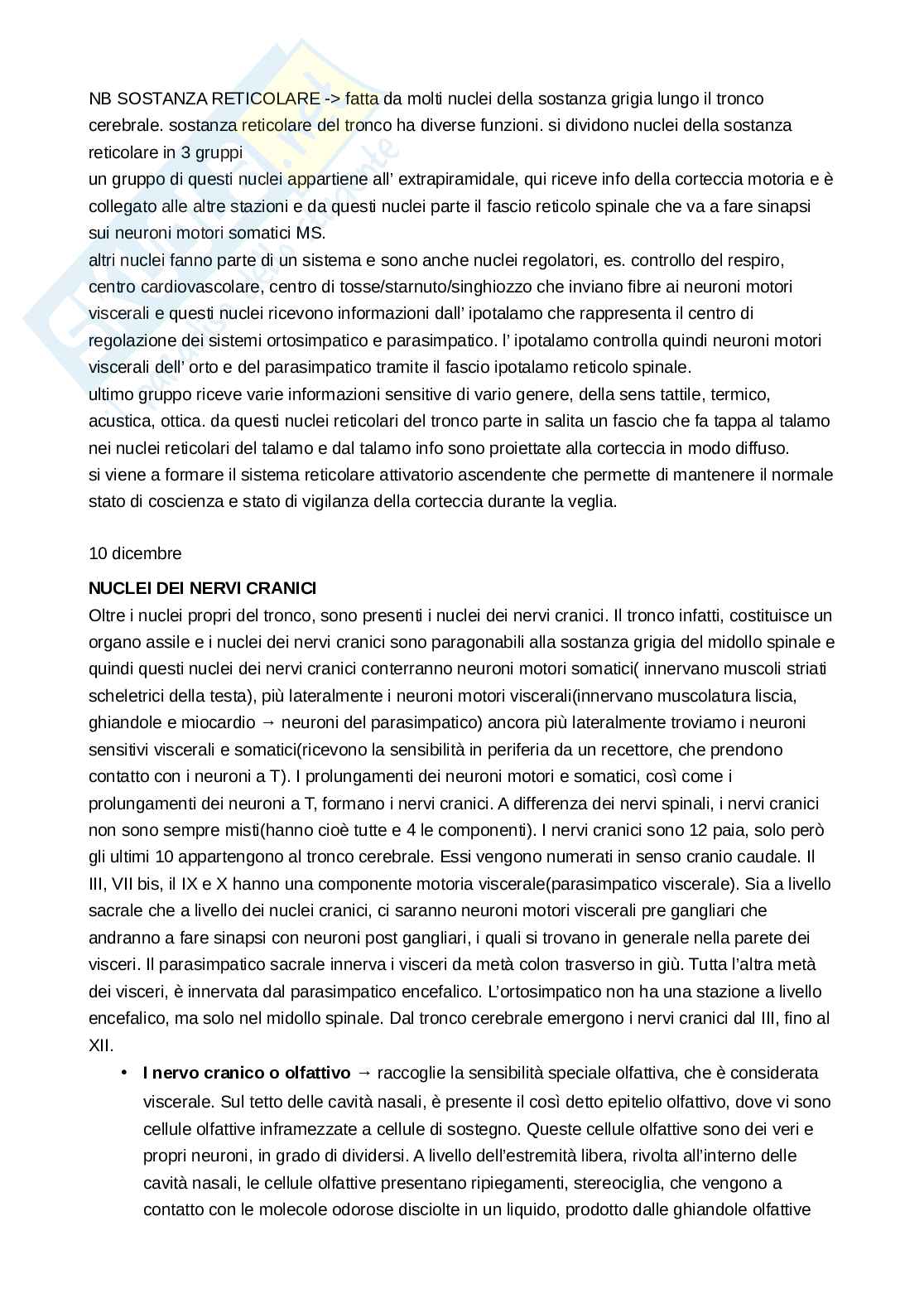 Anatomia umana - Fondamenti Pag. 91