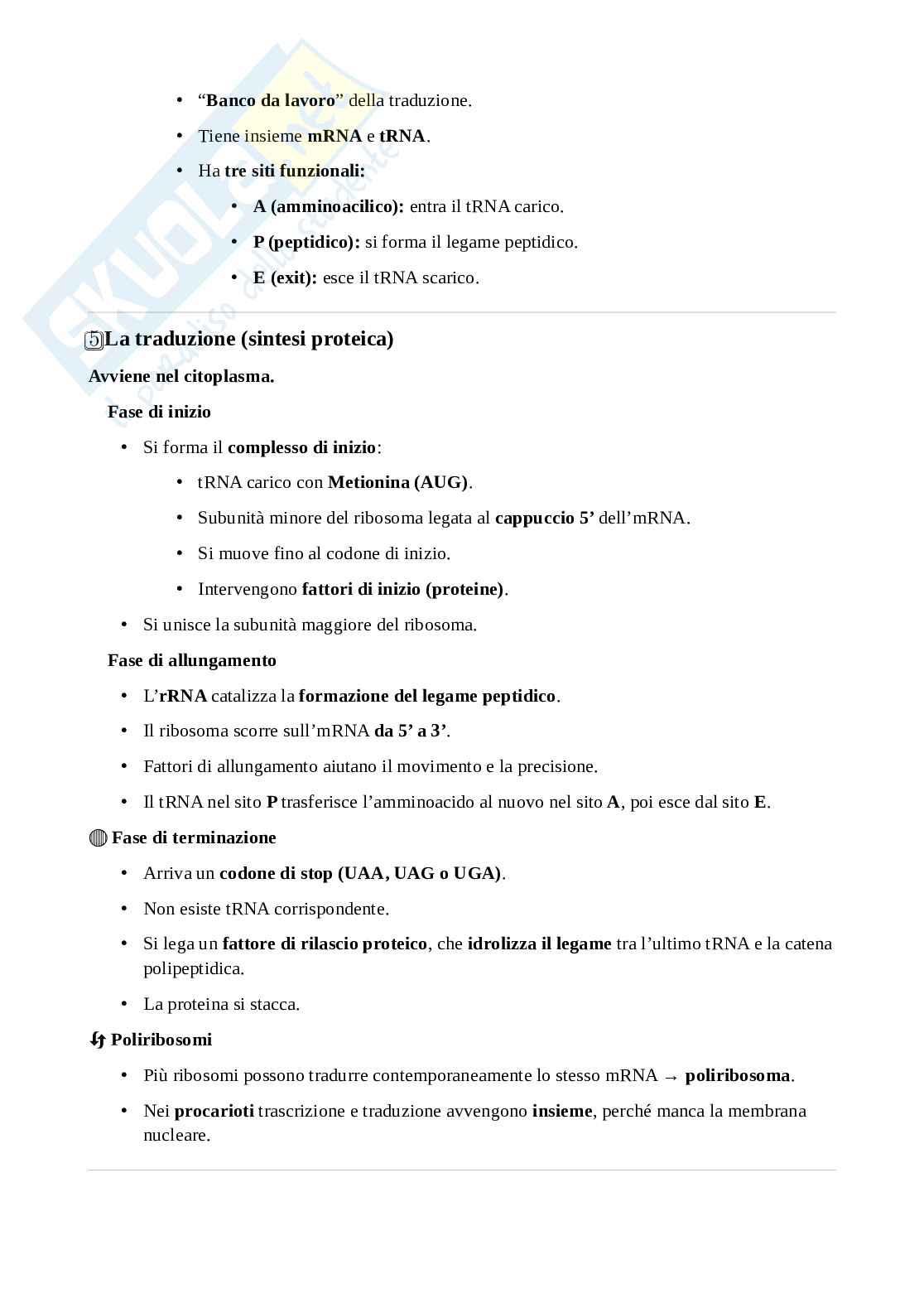 Appunti di Biologia Pag. 16