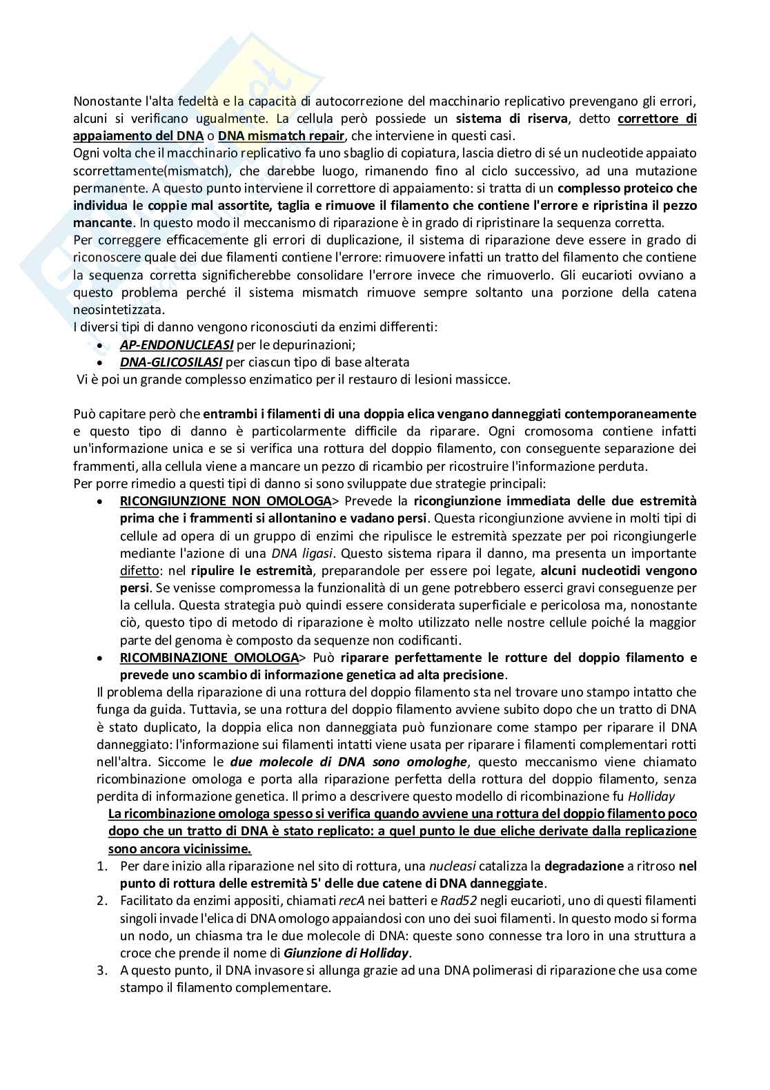 Biologia animale e molecolare Pag. 31