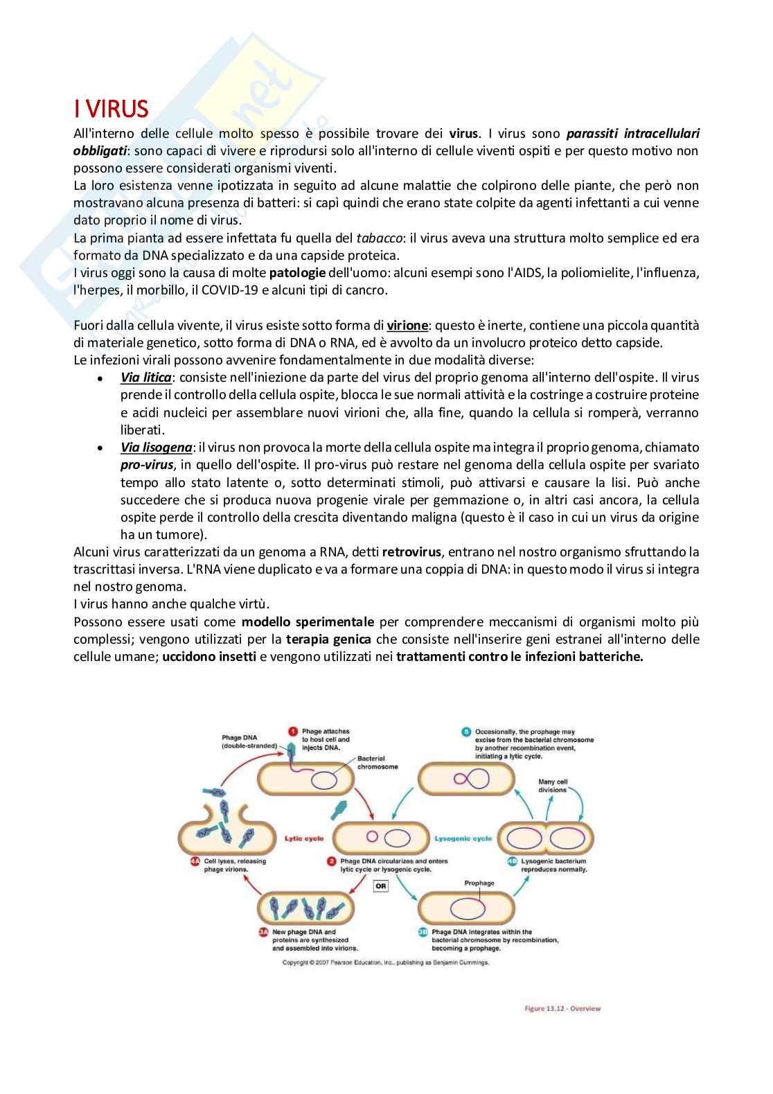 Biologia animale e molecolare Pag. 6
