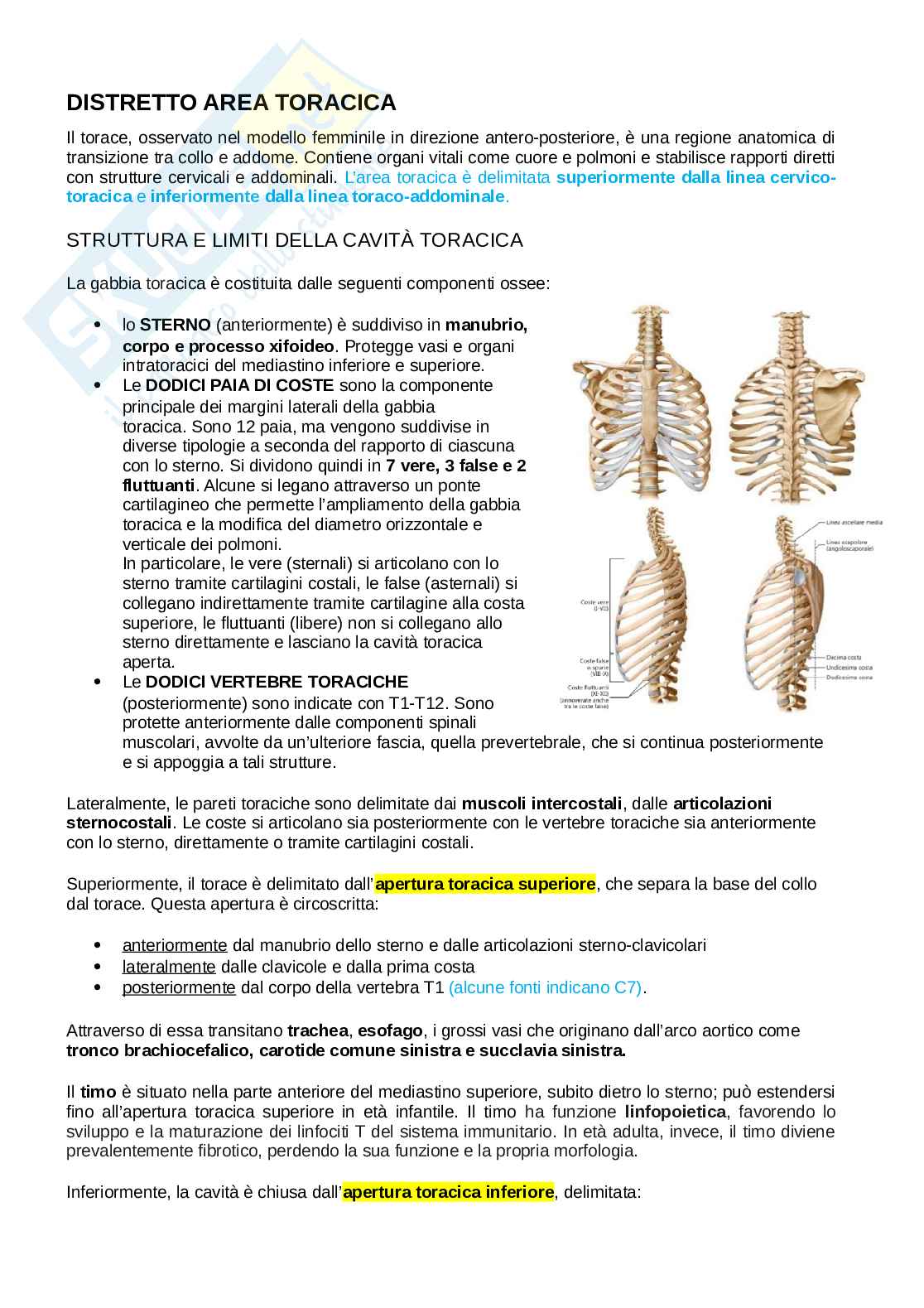 Anatomia del torace Pag. 1