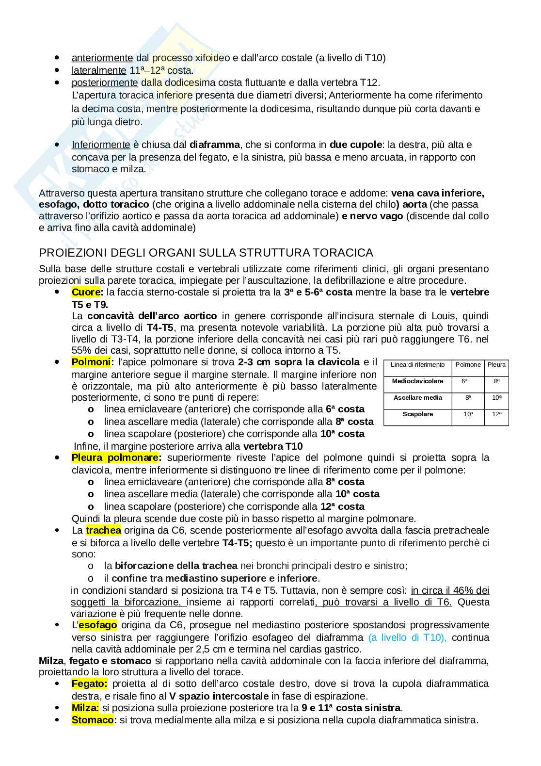 Anatomia del torace Pag. 2