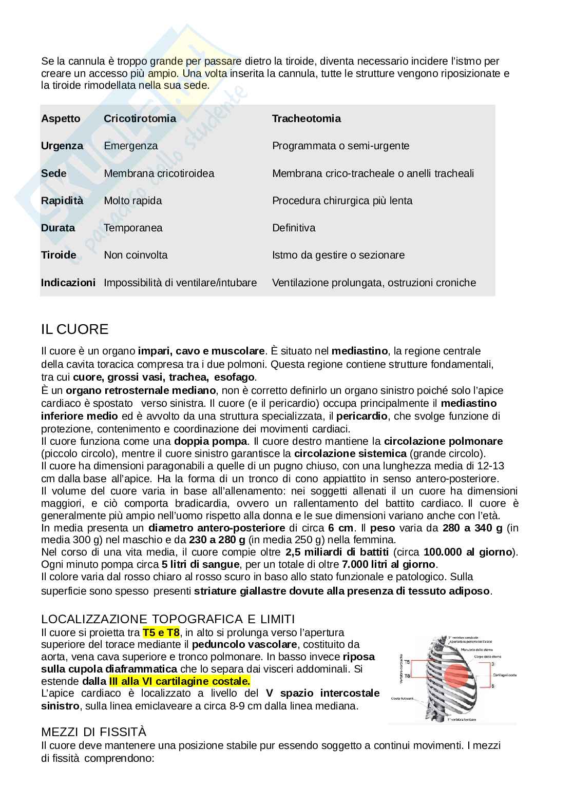 Anatomia del torace Pag. 36