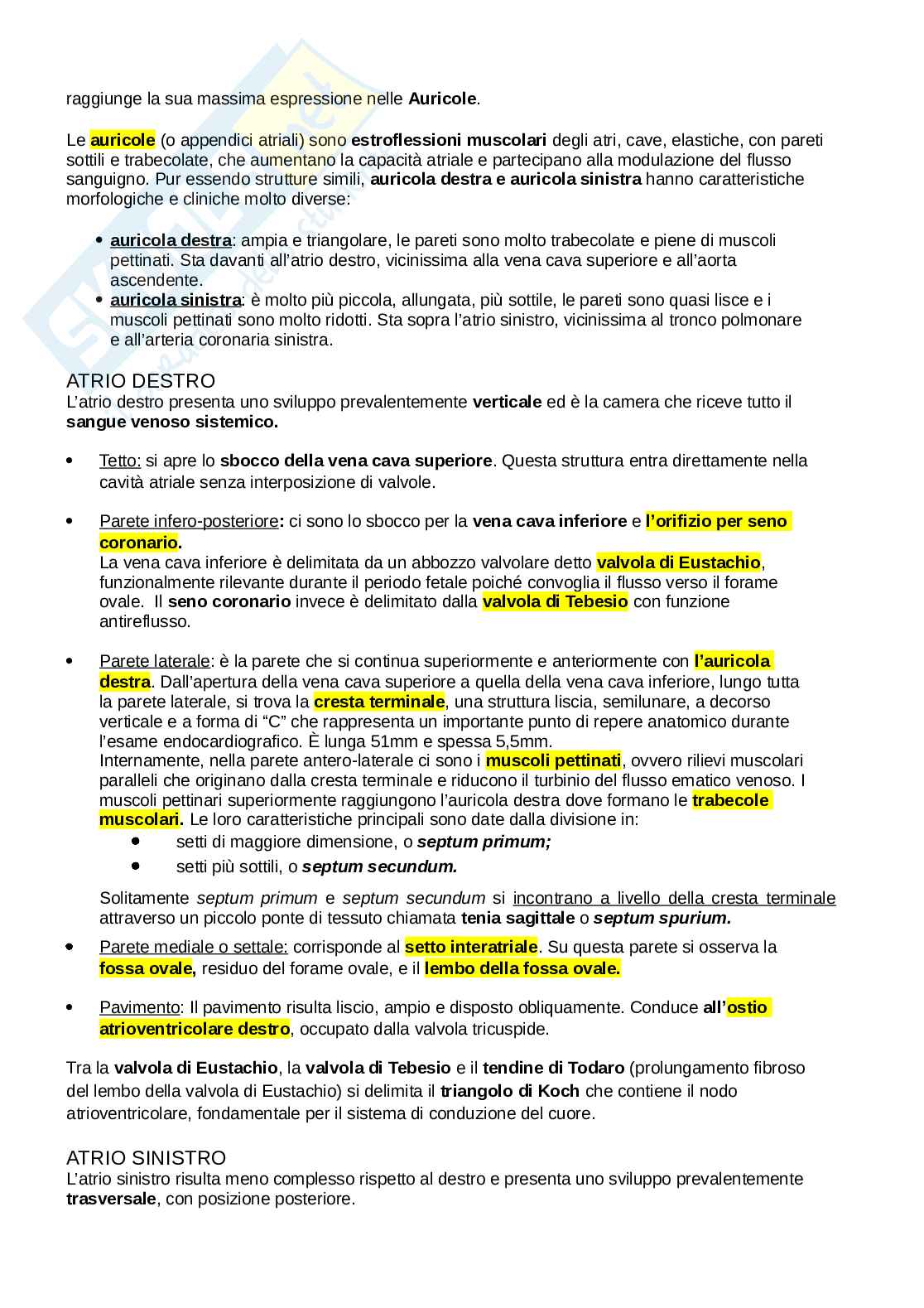 Anatomia del torace Pag. 46