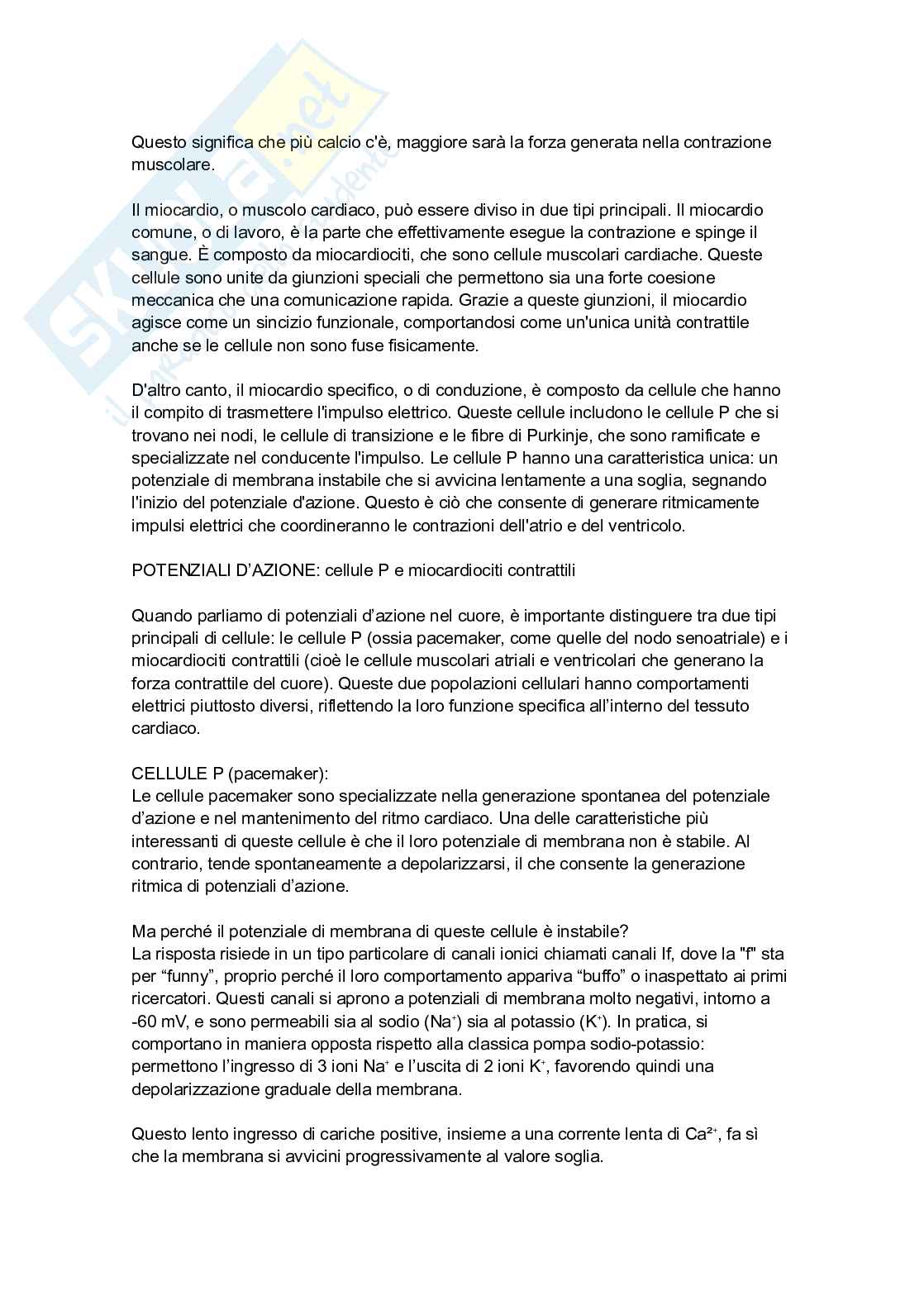 Fisiologia del cuore Pag. 2