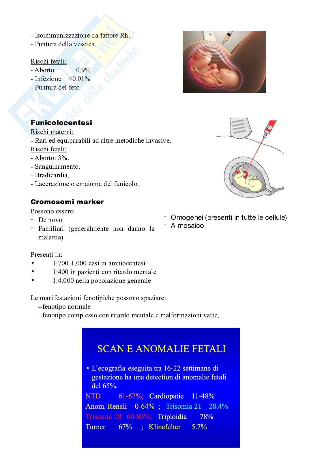 Genetica Pag. 26