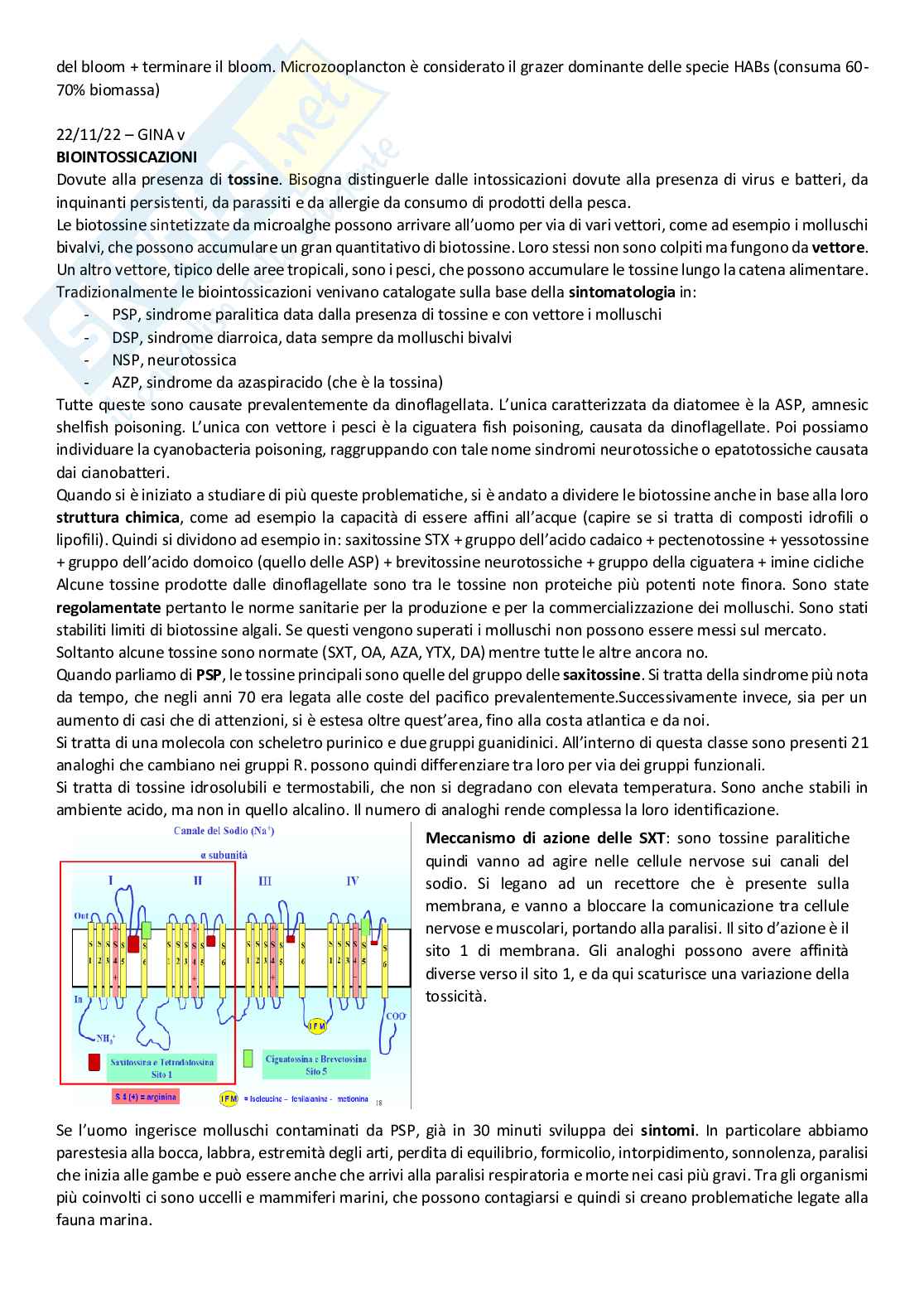 Fioriture algali dannose e biotossine Pag. 11