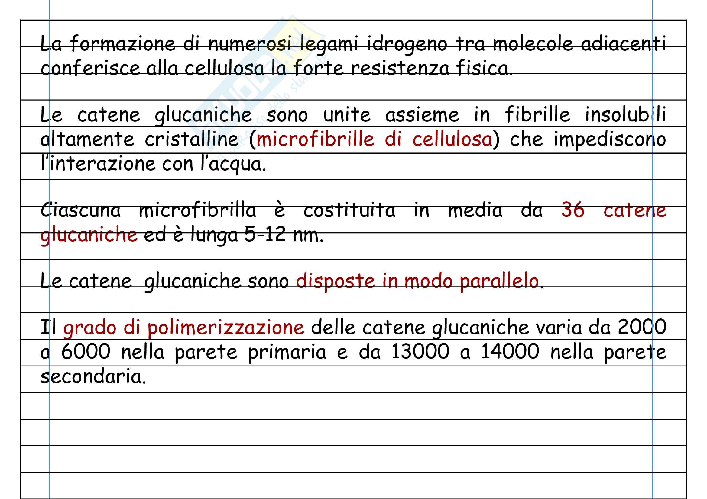 Microfibrille di cellulosa Pag. 2