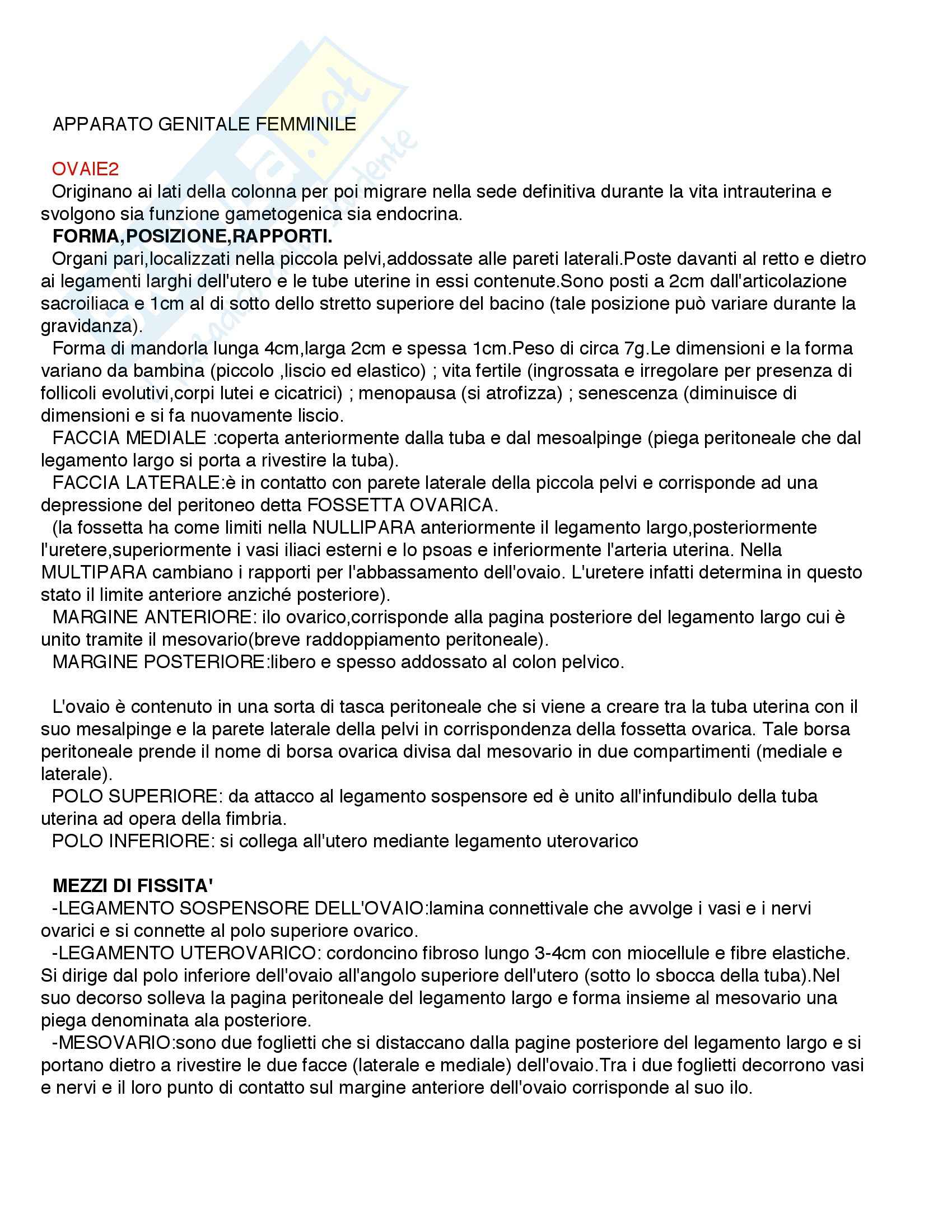 Anatomia con elementi di istologia- Appunti Pag. 1