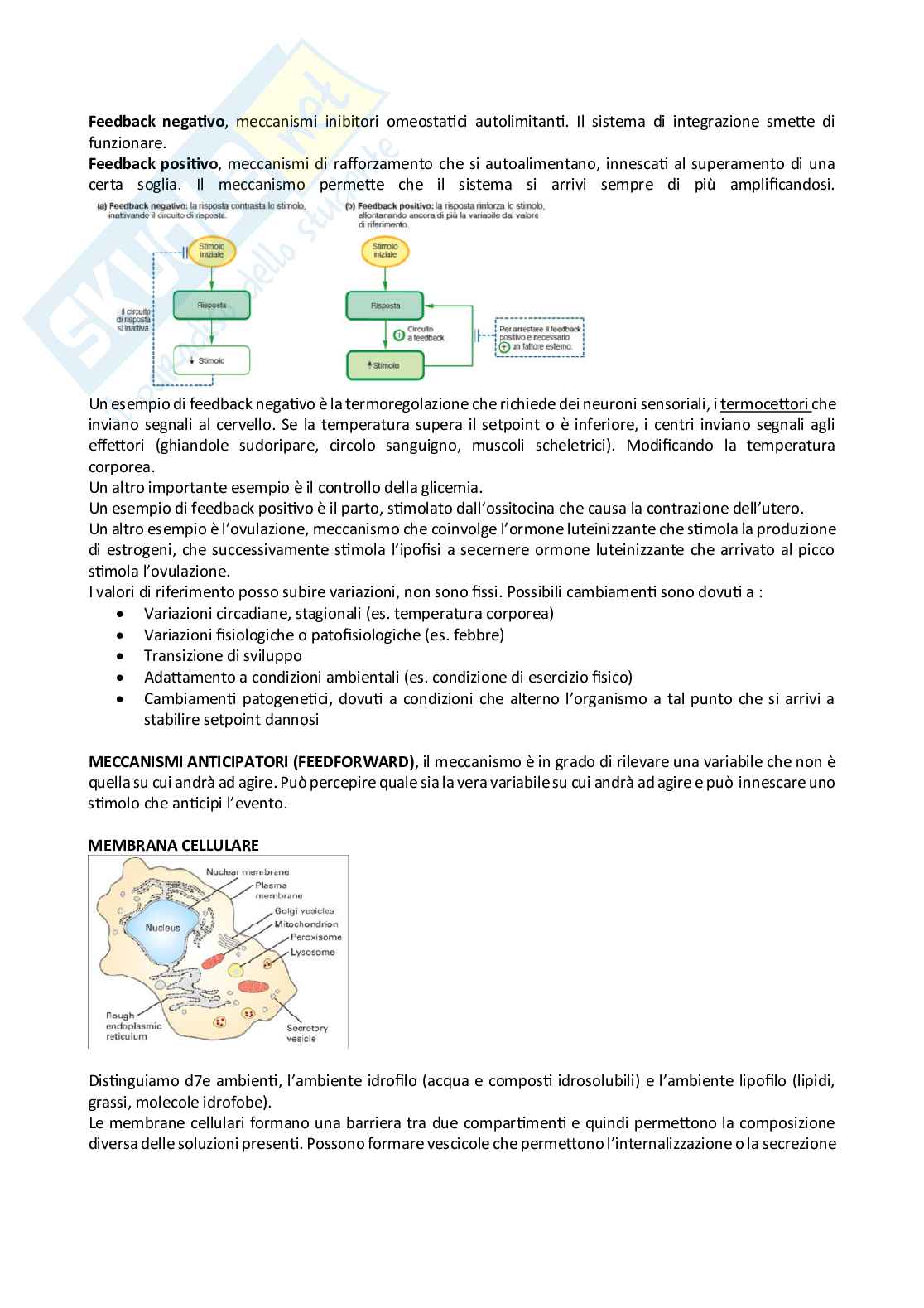 Fisiologia Pag. 2