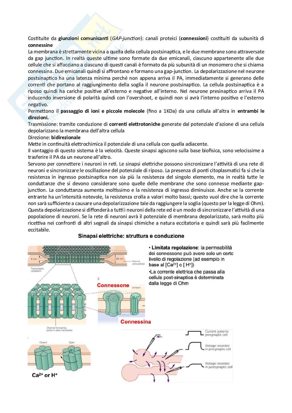 Fisiologia Pag. 41