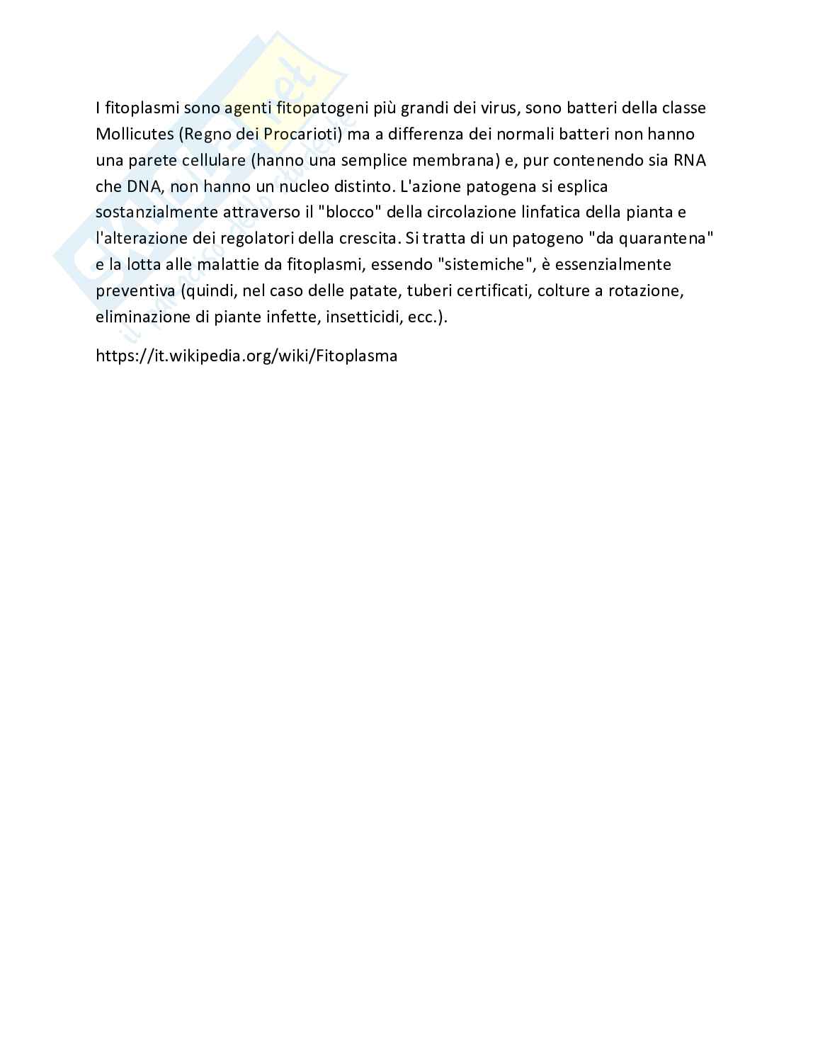 Cultura dell'alimentazione Pag. 26