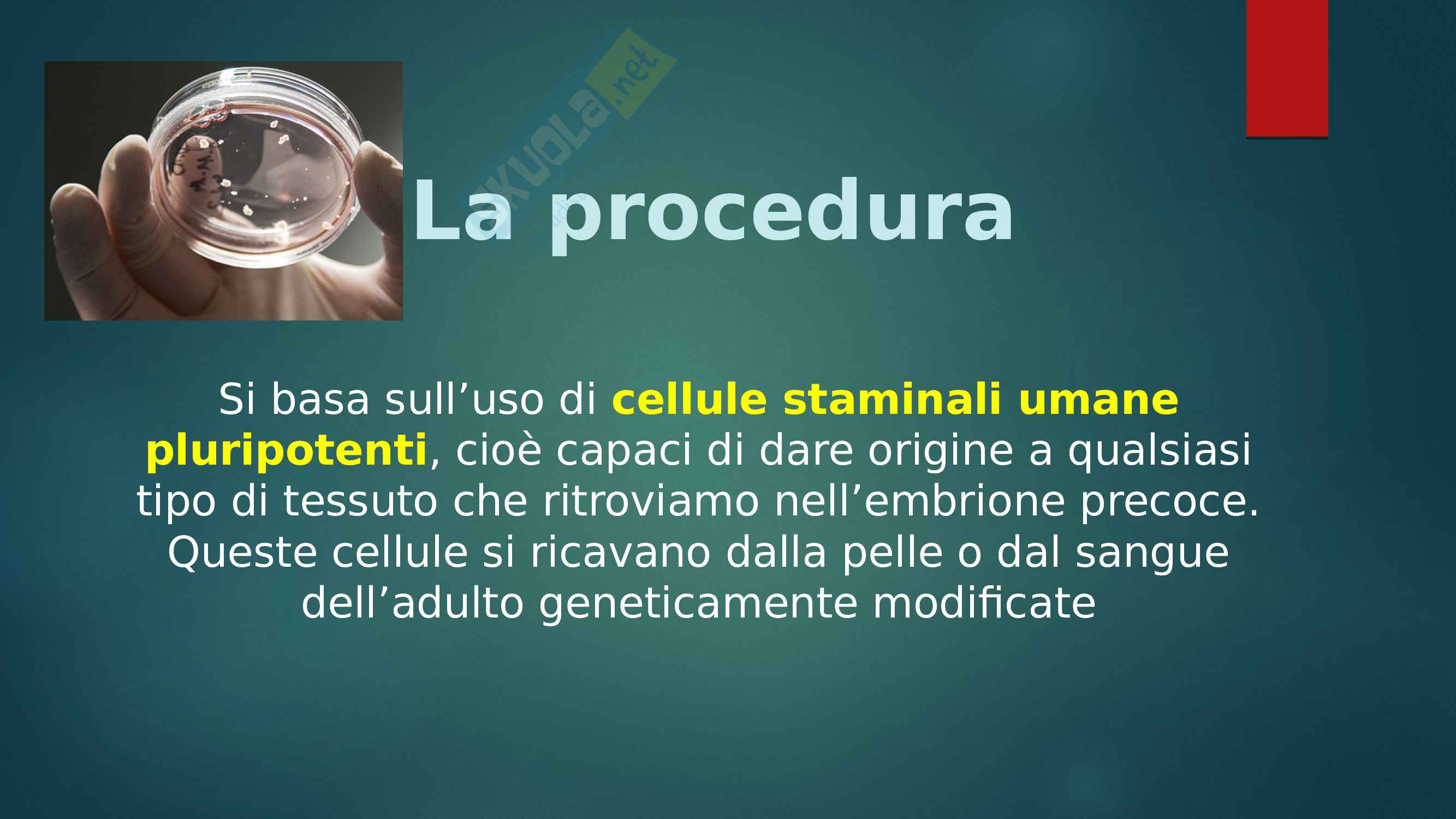 Organoidi cerebrali Pag. 6