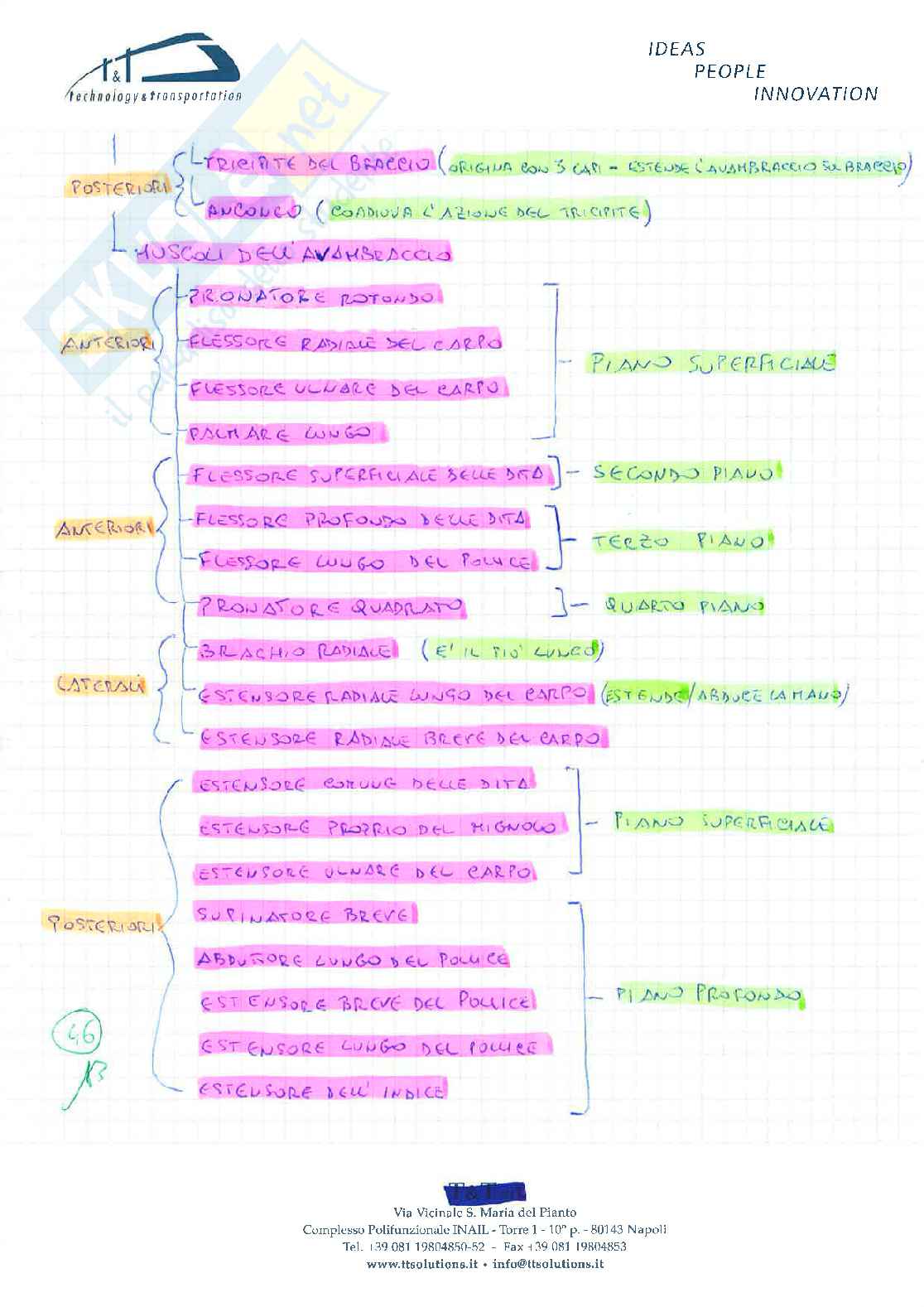 Anatomia Umana ( schemi riassuntivi) Pag. 46