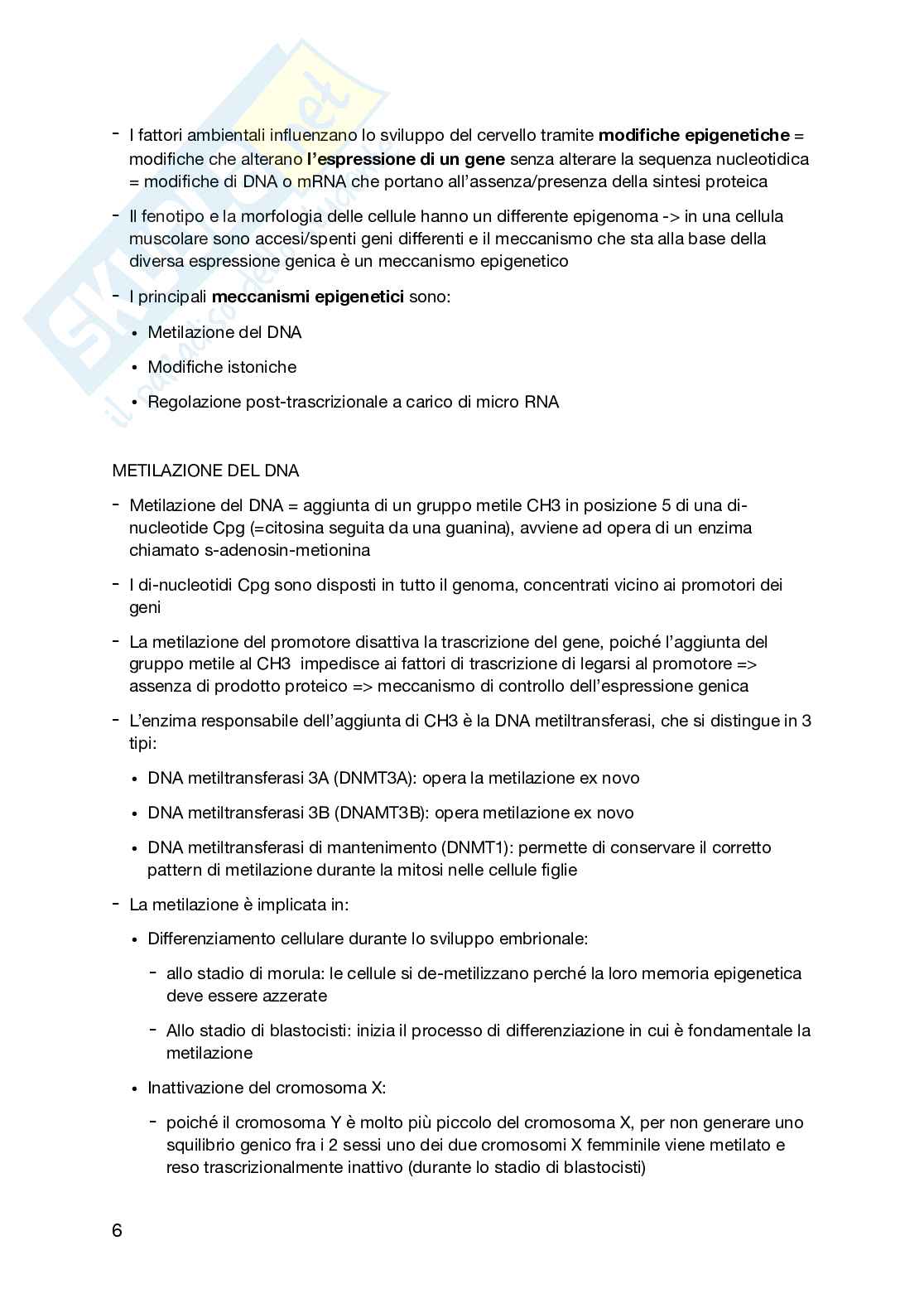 Basi fisiologiche e molecolari delle attività mentali e del comportamento  Pag. 6