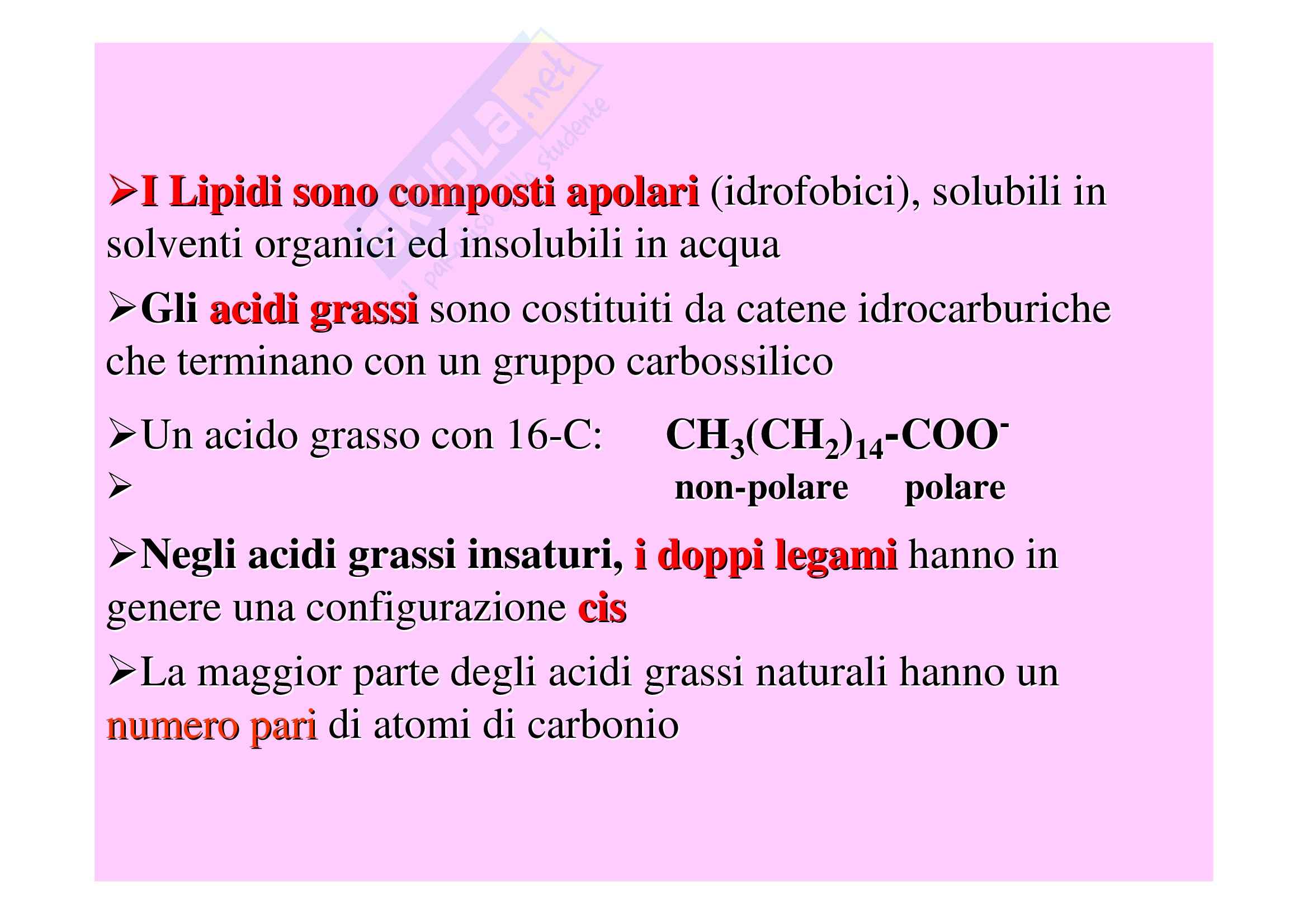 Biochimica II – Lezione 10 – Slides Pag. 2