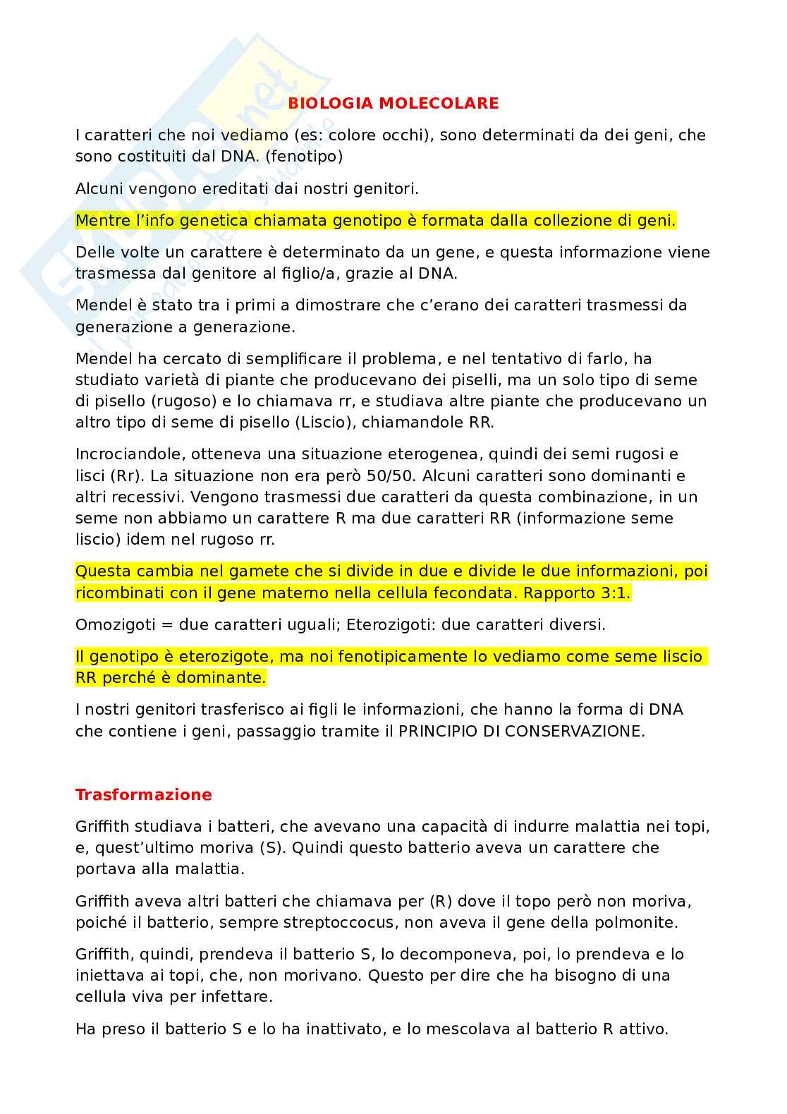 Biologia molecolare Pag. 1
