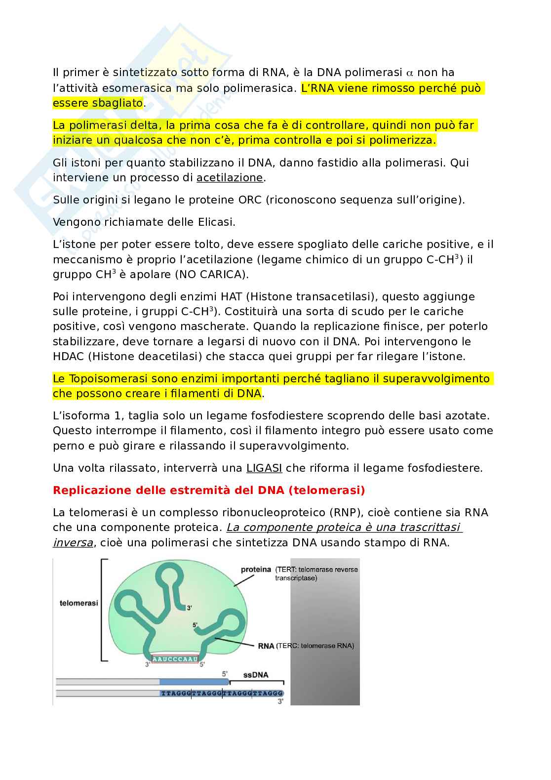 Biologia molecolare Pag. 11