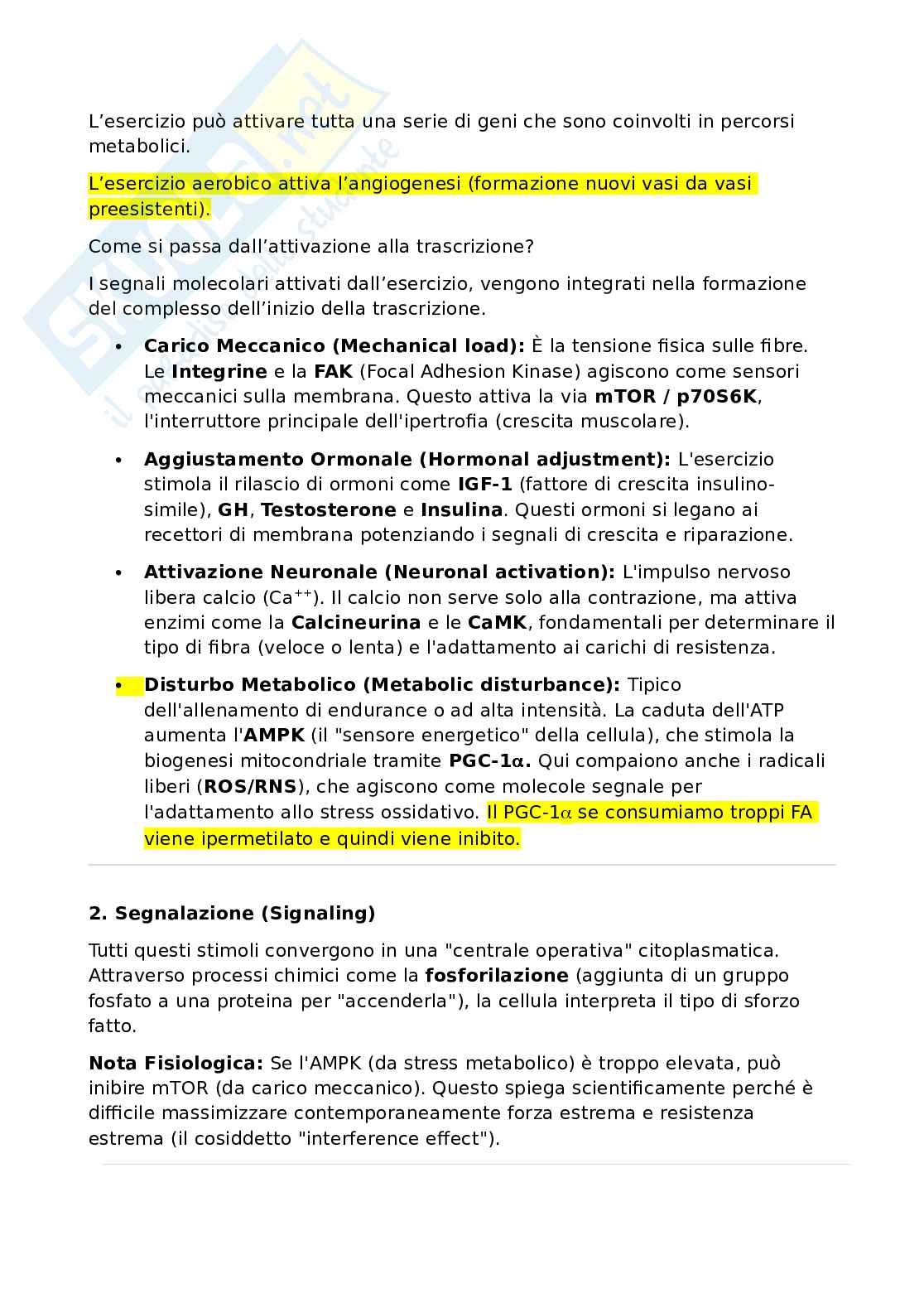 Biologia molecolare Pag. 16