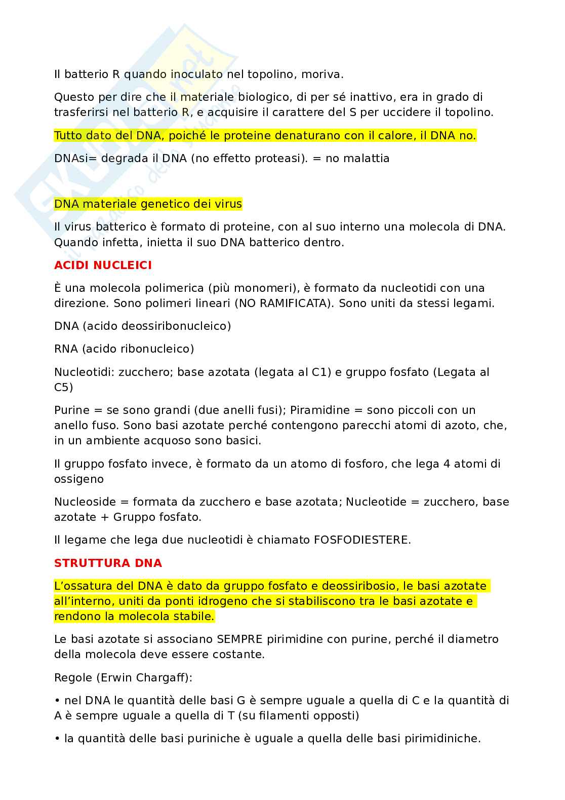Biologia molecolare Pag. 2