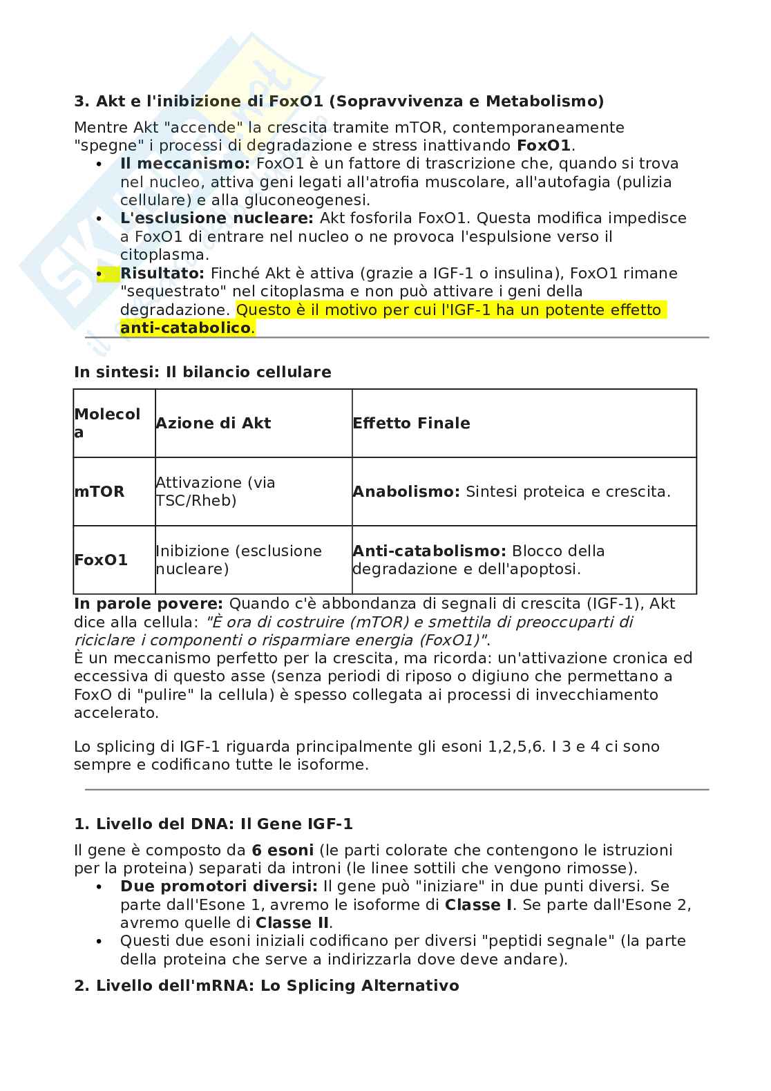 Biologia molecolare Pag. 26