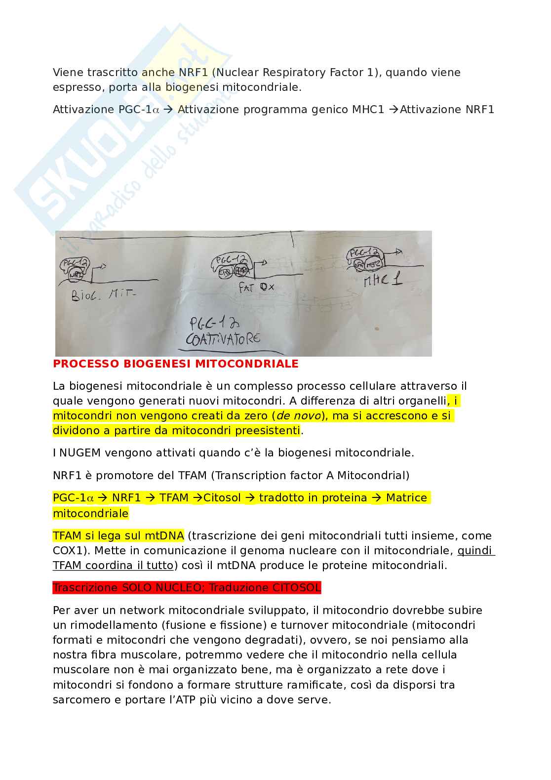 Biologia molecolare Pag. 36