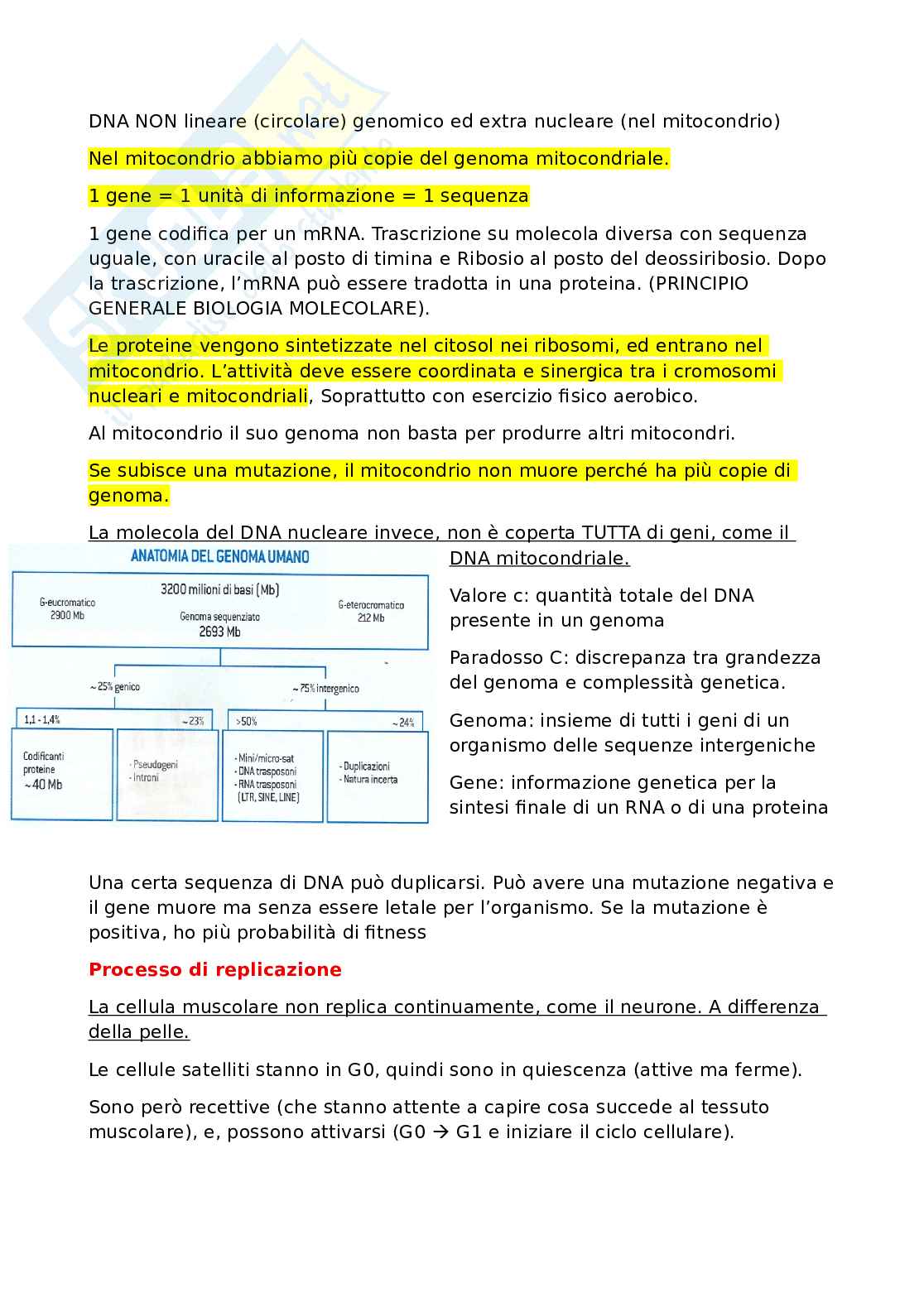 Biologia molecolare Pag. 6