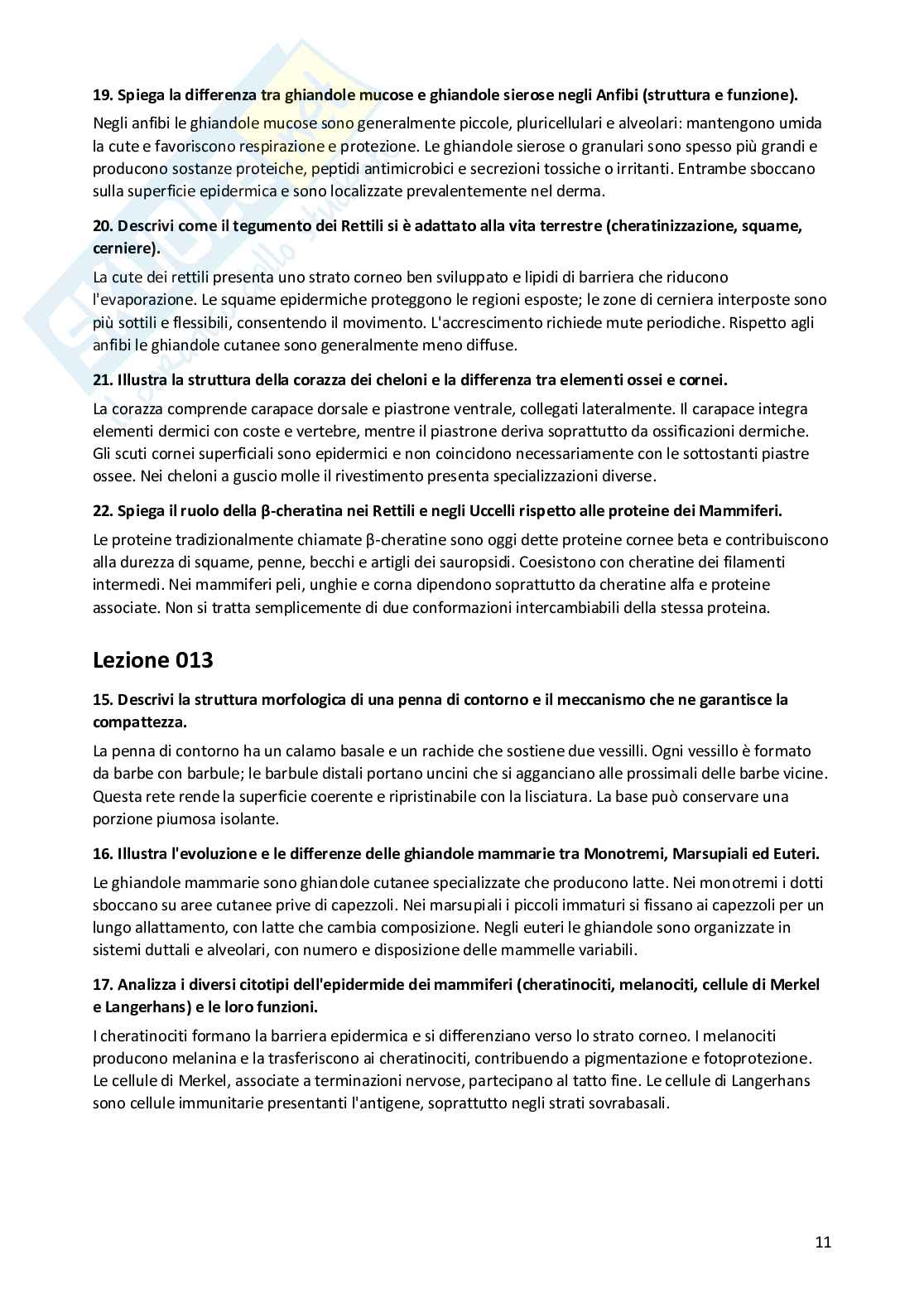 Risposte aperte Anatomia comparata, 2026 Pag. 11