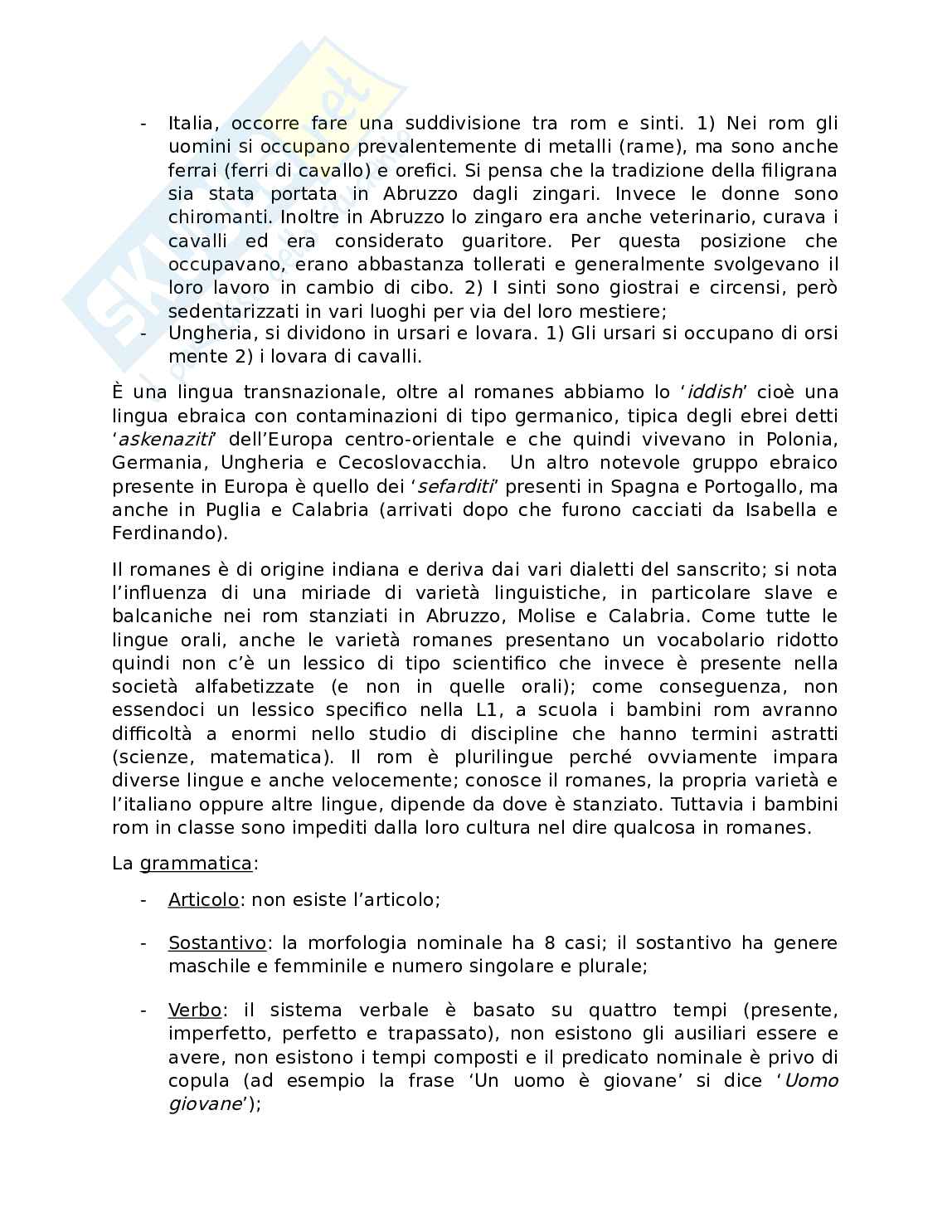 Appunti di Didattica dell'Italiano L2 Pag. 16